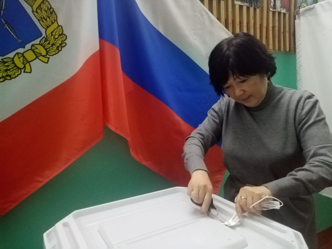 Сообщение наблюдателя — УИК №1295, Саратовская область