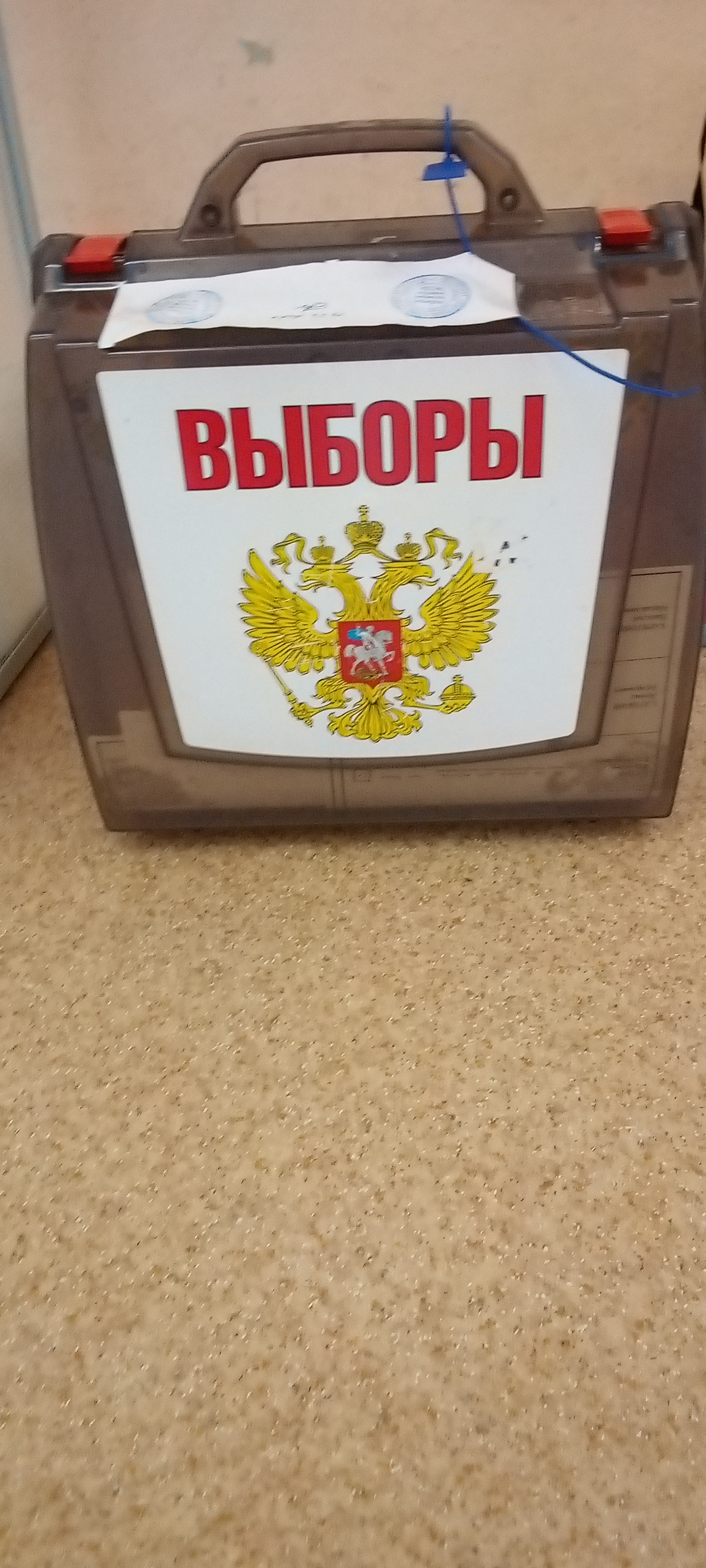 Сообщение наблюдателя — УИК №113, Ленинградская область