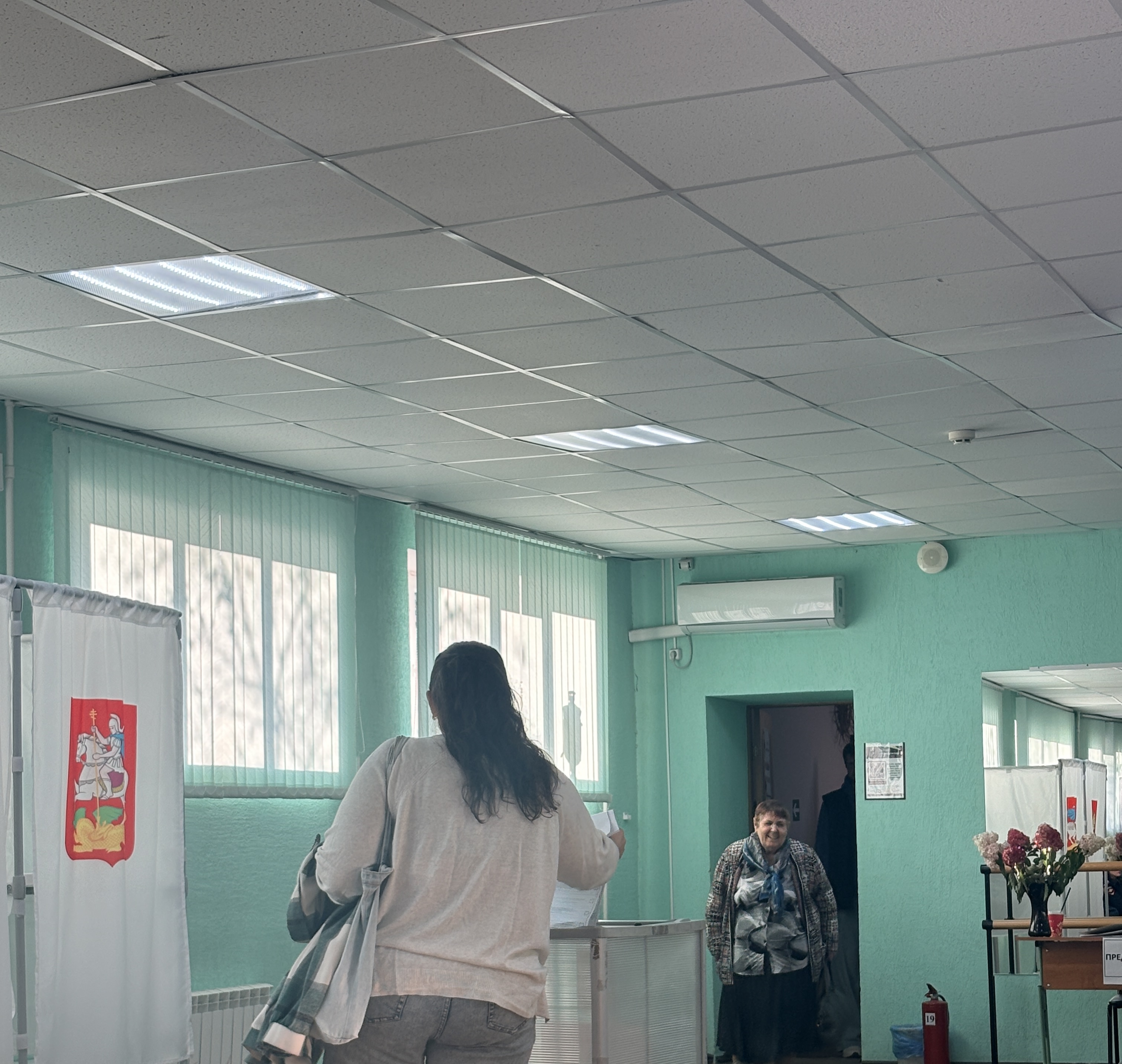 Сообщение — УИК №3993, Московская область