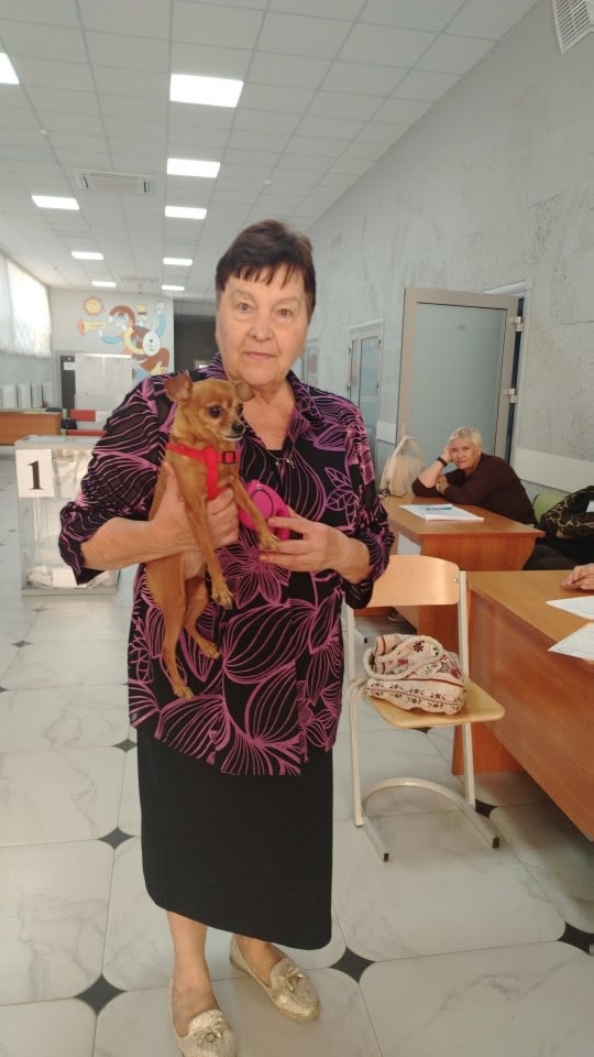 Сообщение наблюдателя — УИК №154, Белгородская область