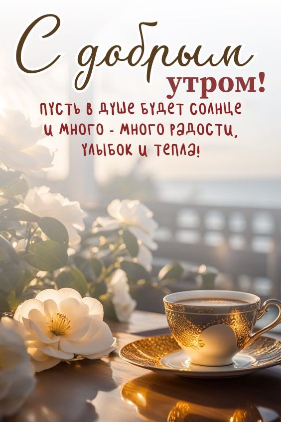 Сообщение наблюдателя — УИК №508, Смоленская область