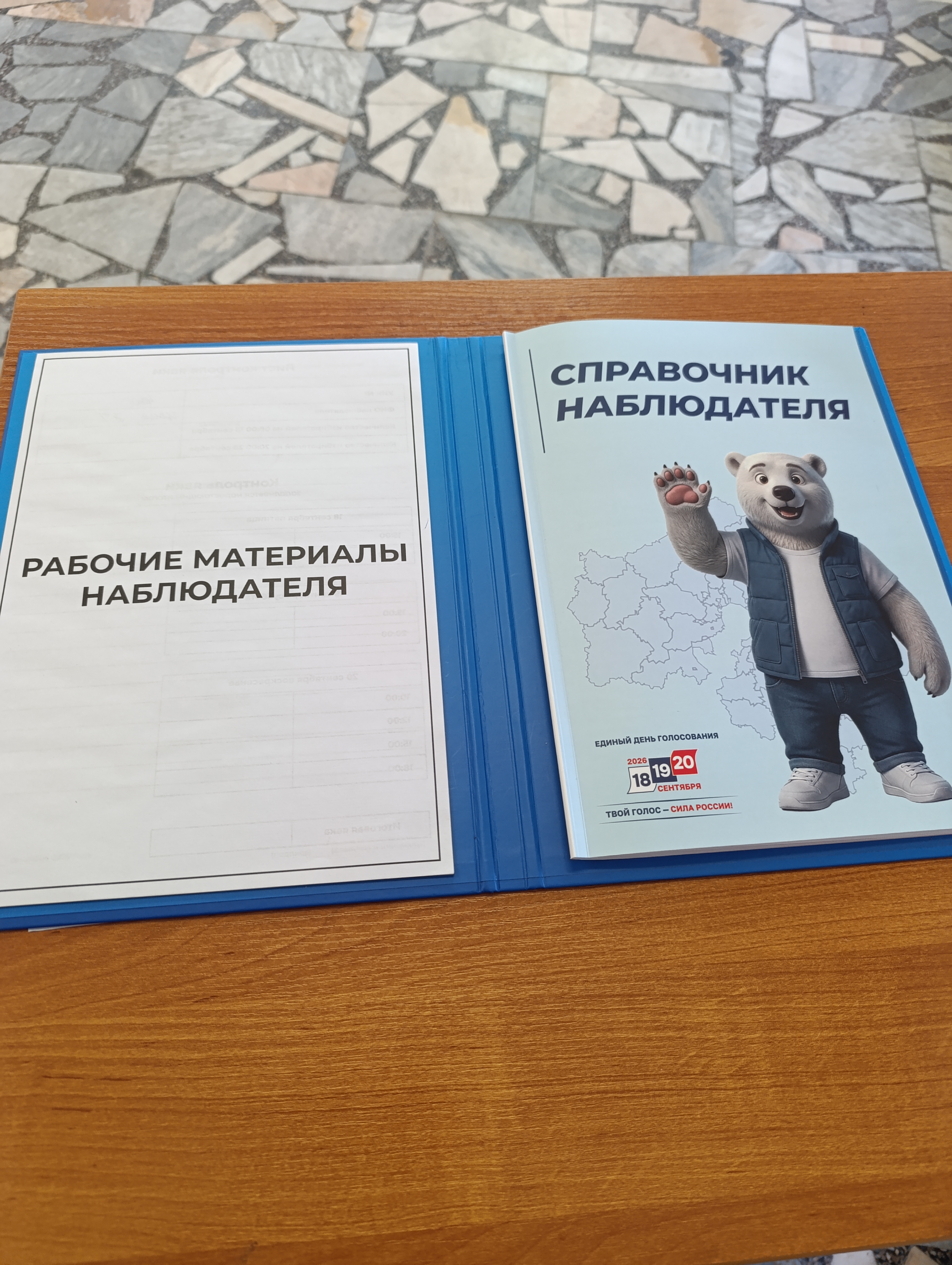Сообщение — УИК №4020, Московская область