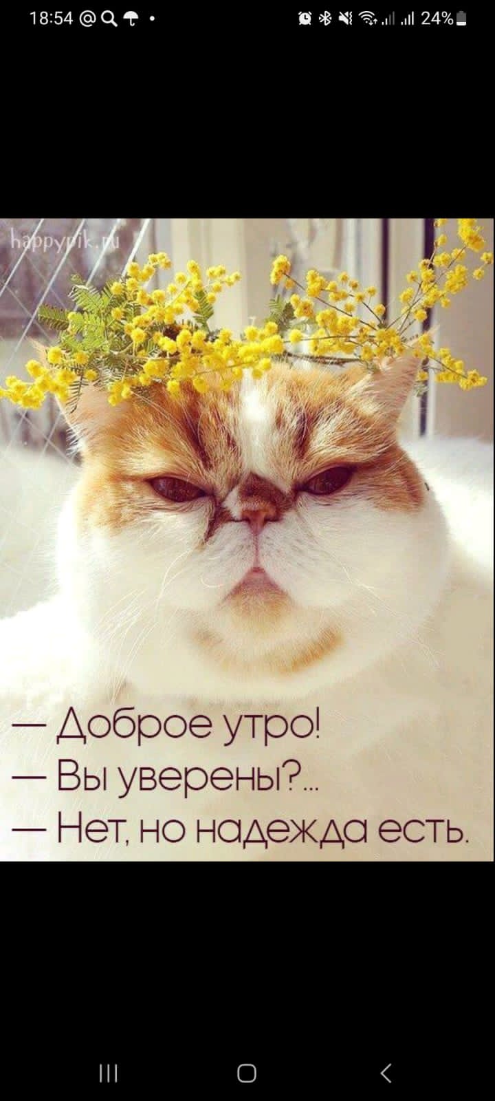 Сообщение наблюдателя — УИК №631, Самарская область