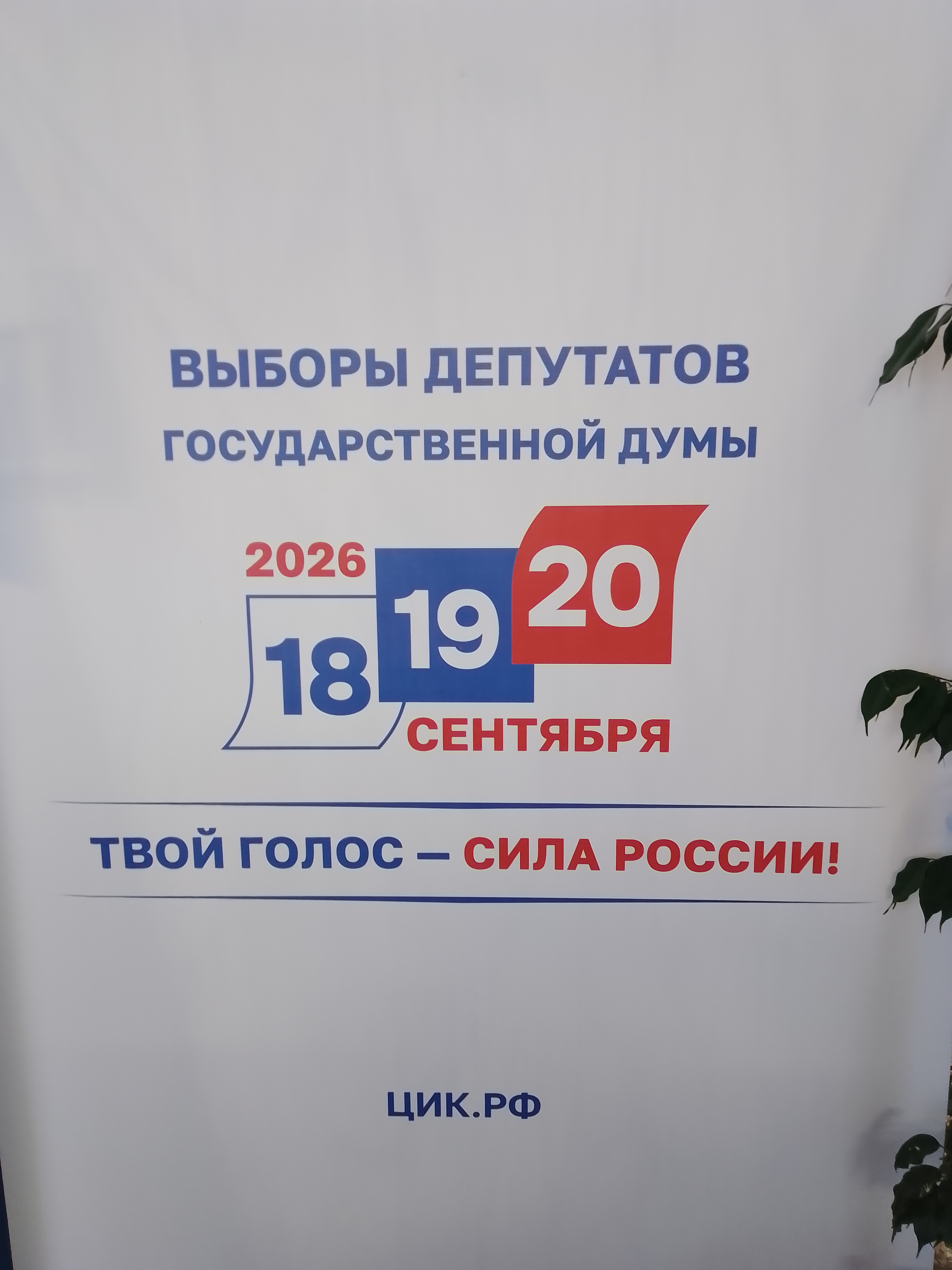 Сообщение — УИК №2240, Краснодарский край