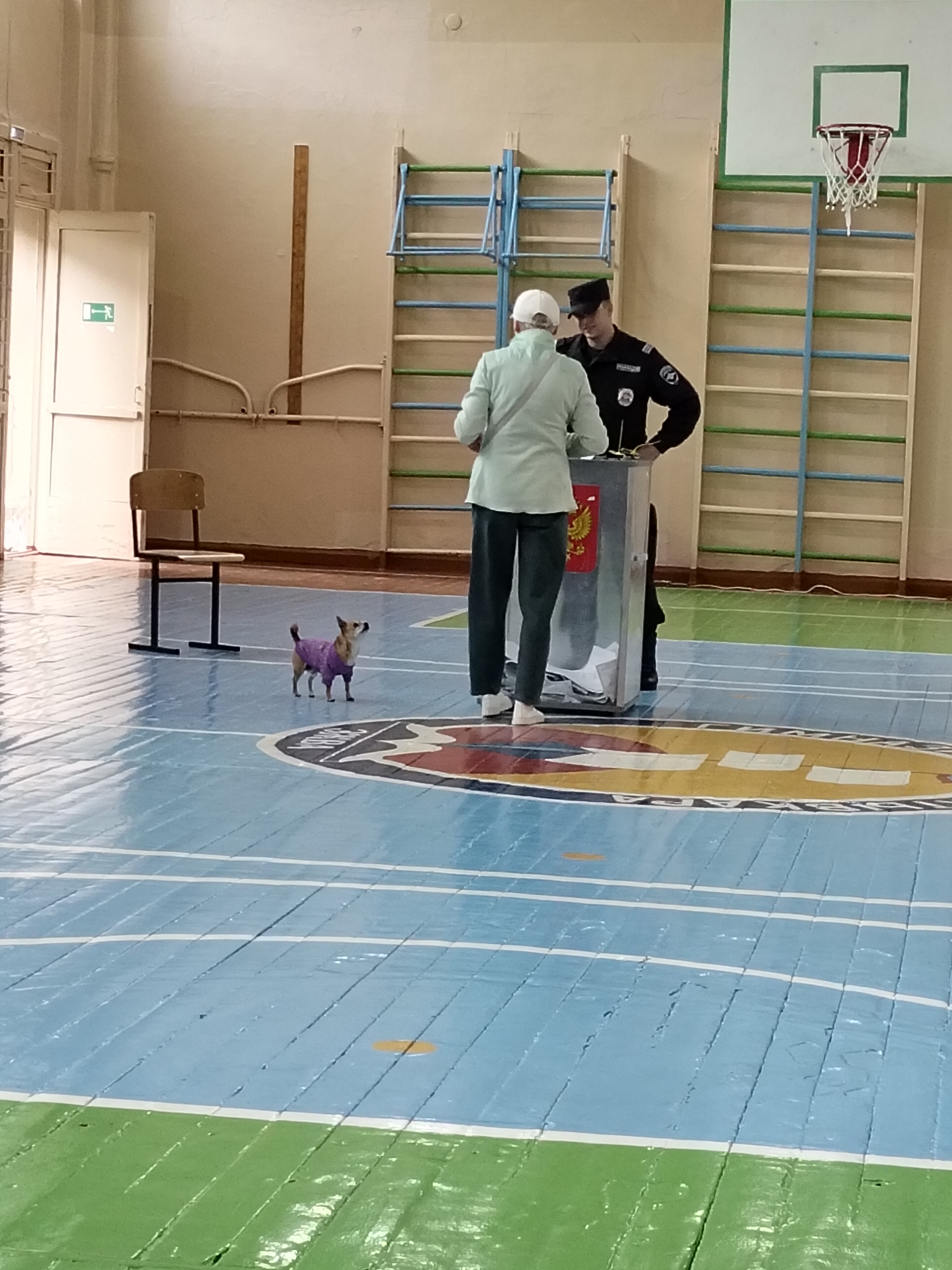 Сообщение — УИК №103, Республика Коми