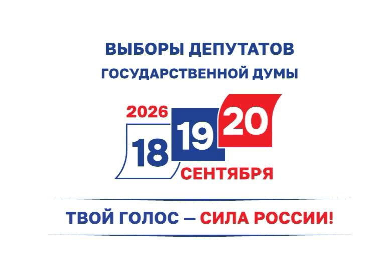 Сообщение — УИК №1175, Санкт-Петербург