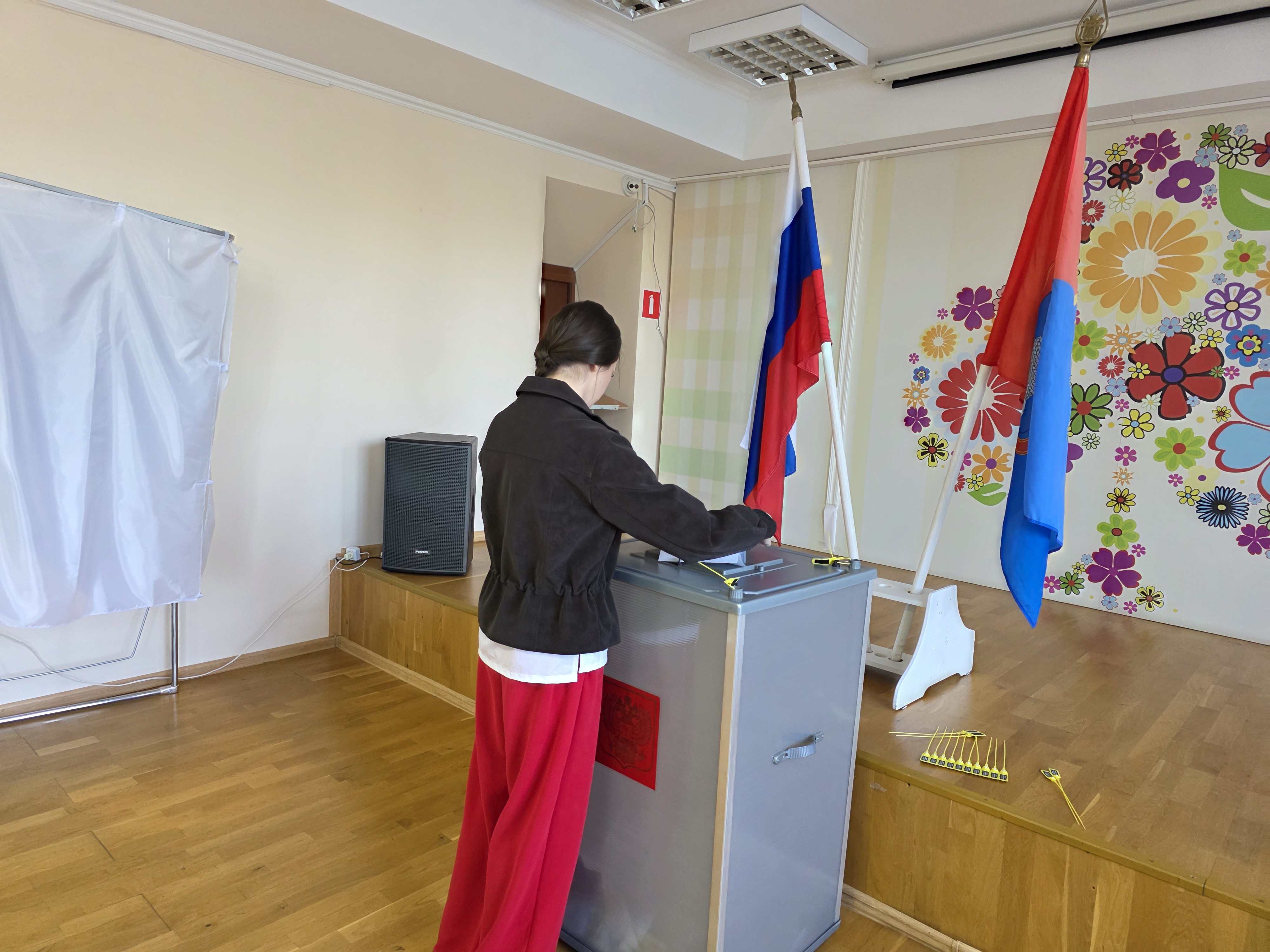 Сообщение — УИК №556, Тамбовская область
