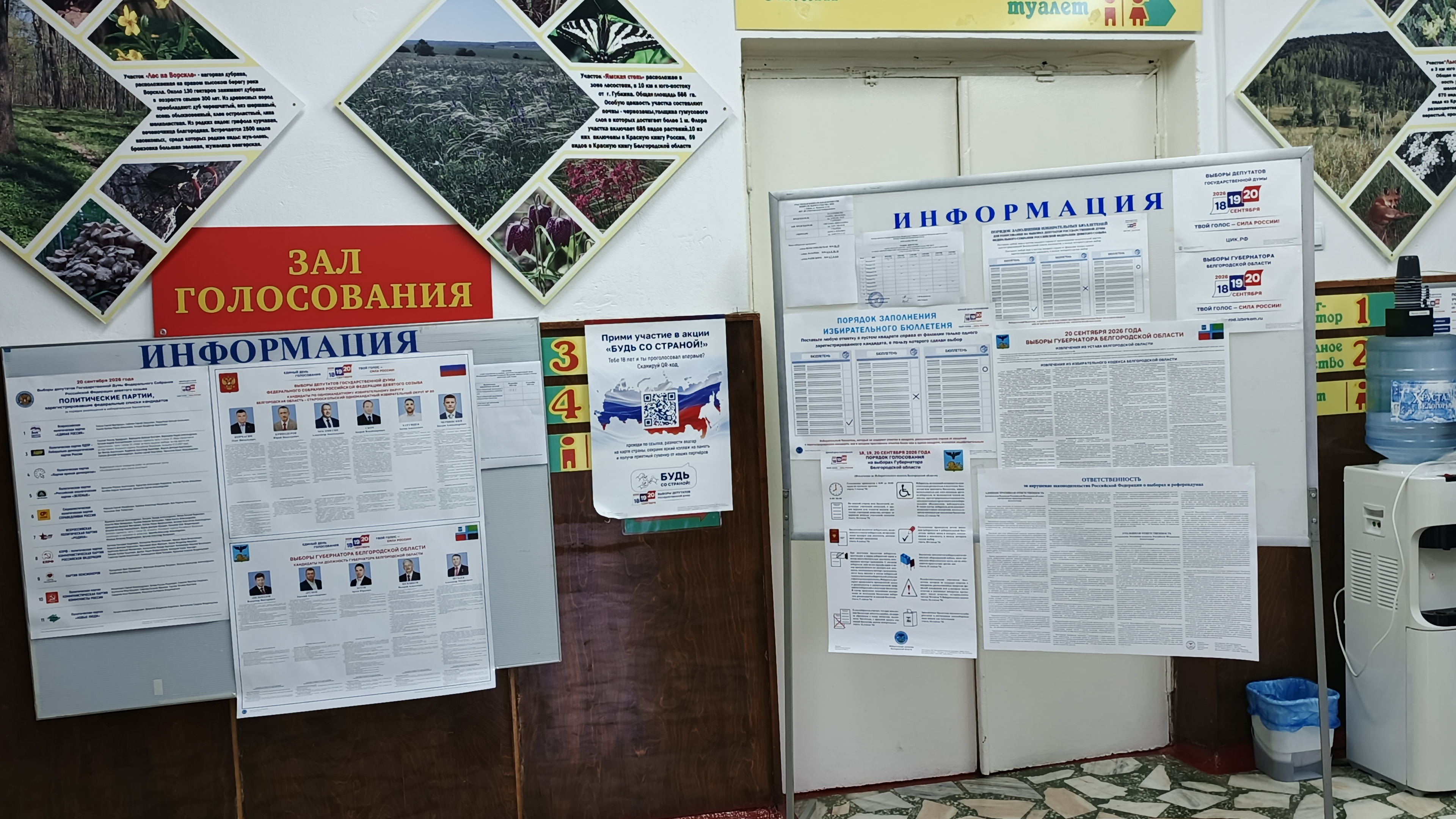 Сообщение — УИК №533, Белгородская область