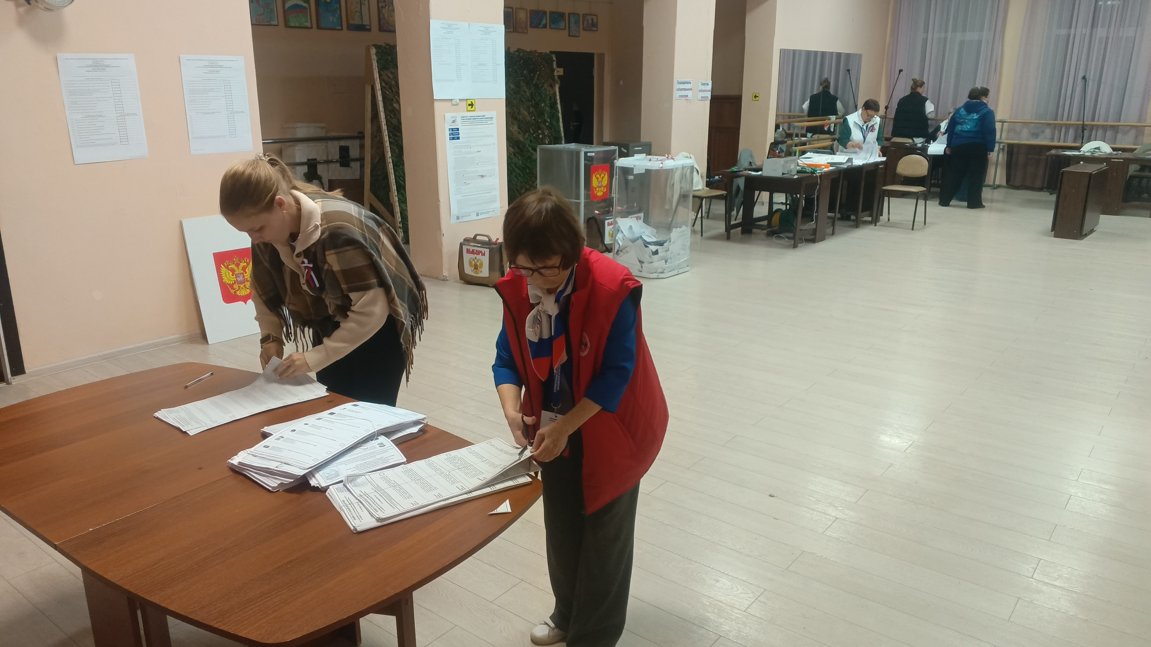 Сообщение — УИК №3065, Московская область