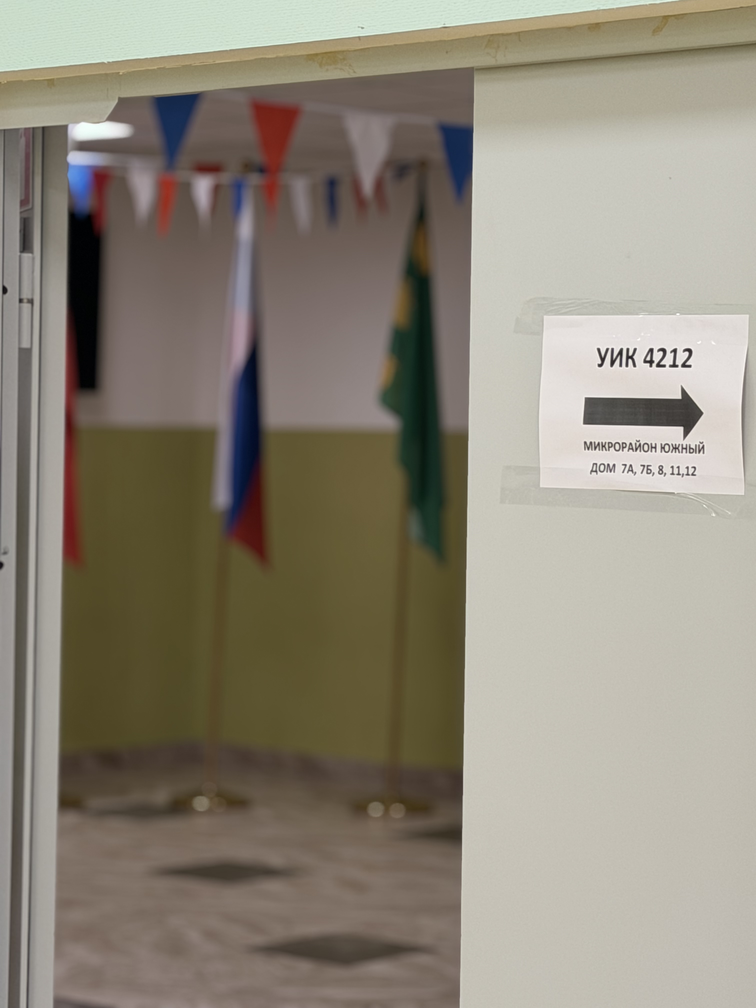 Сообщение — УИК №4212, Московская область