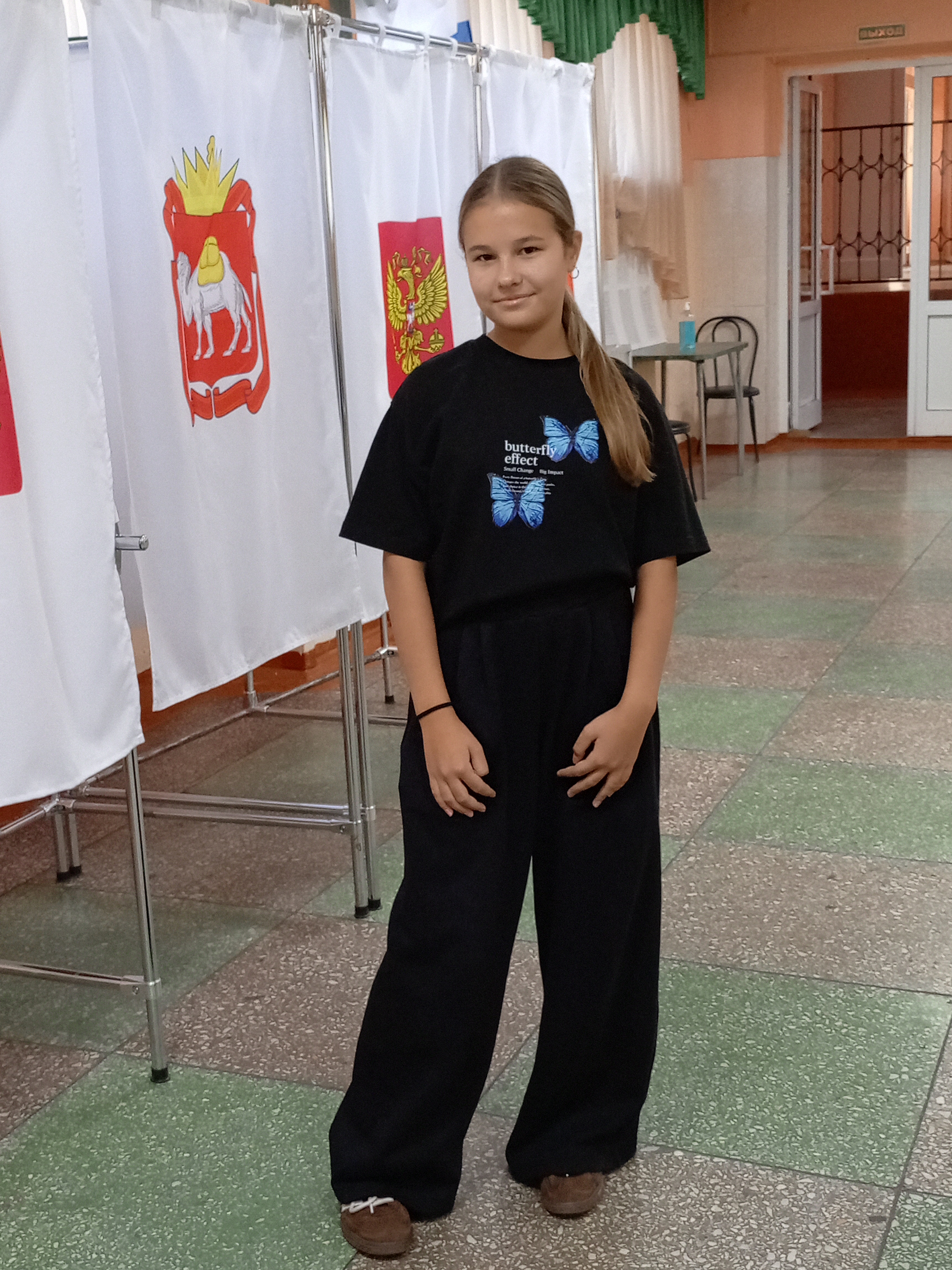 Сообщение — УИК №732, Челябинская область