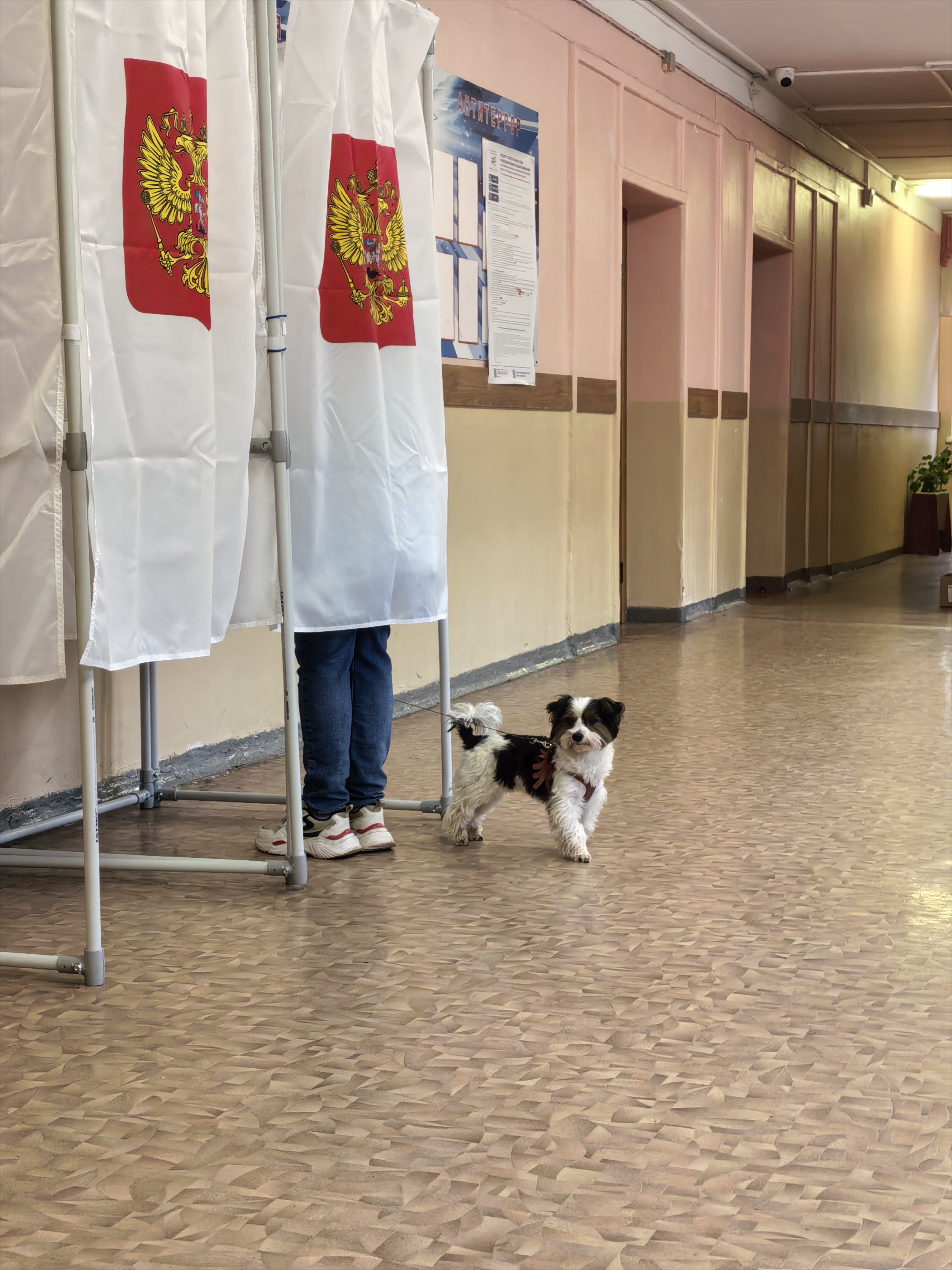 Сообщение — УИК №79, Ивановская область