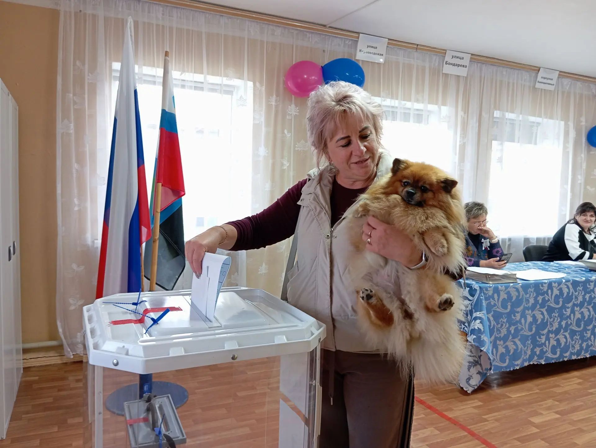 Сообщение — УИК №773, Белгородская область