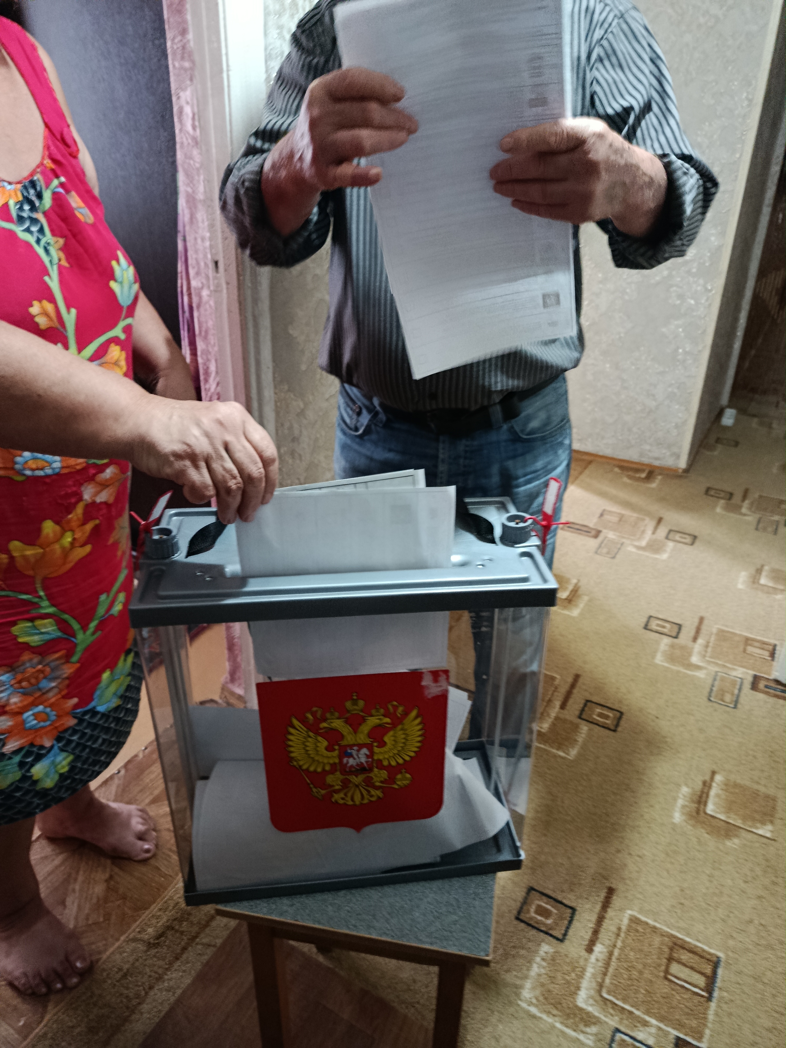 Сообщение — УИК №772, Республика Дагестан