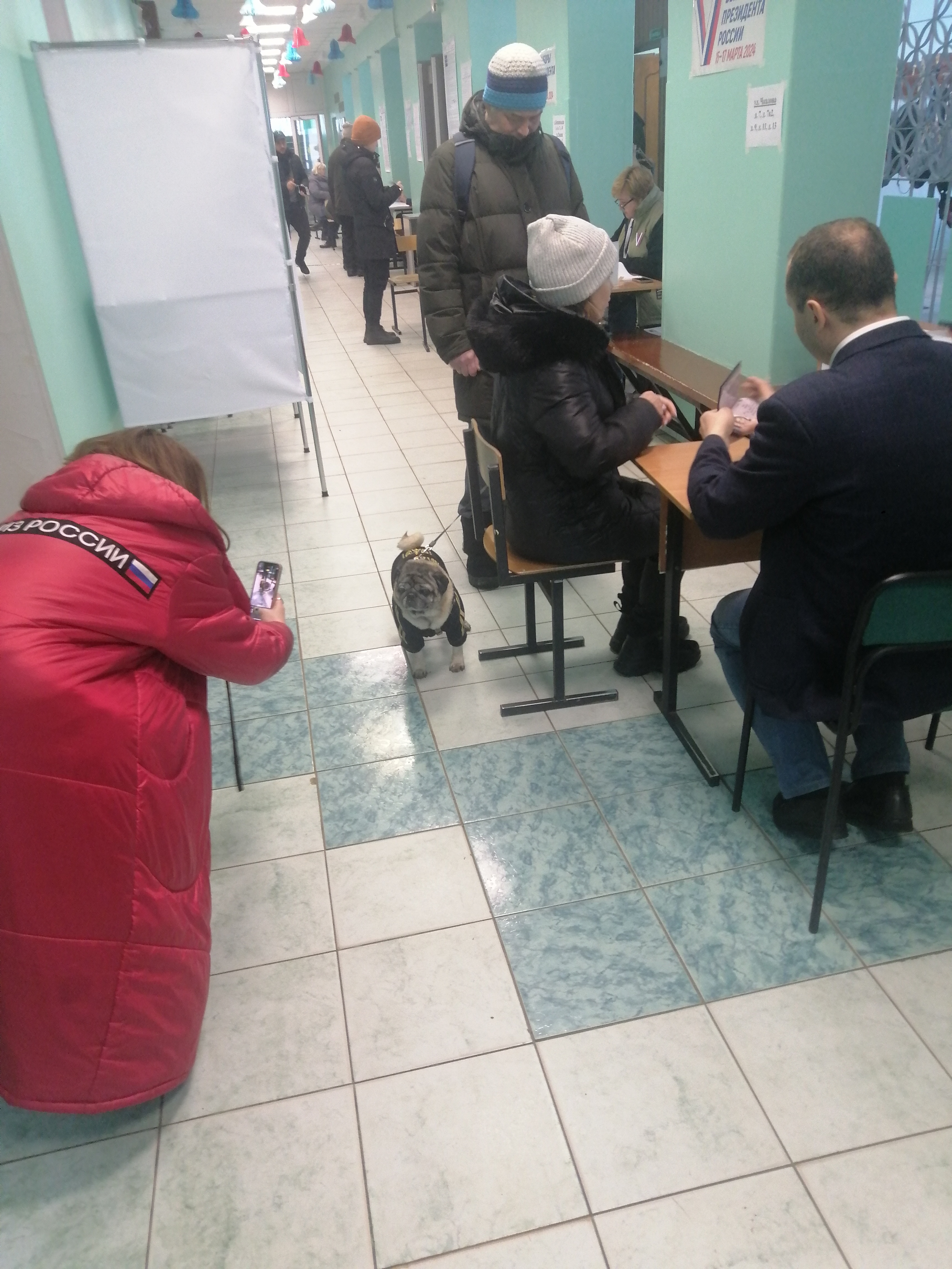 Сообщение наблюдателя — УИК №616, Московская область