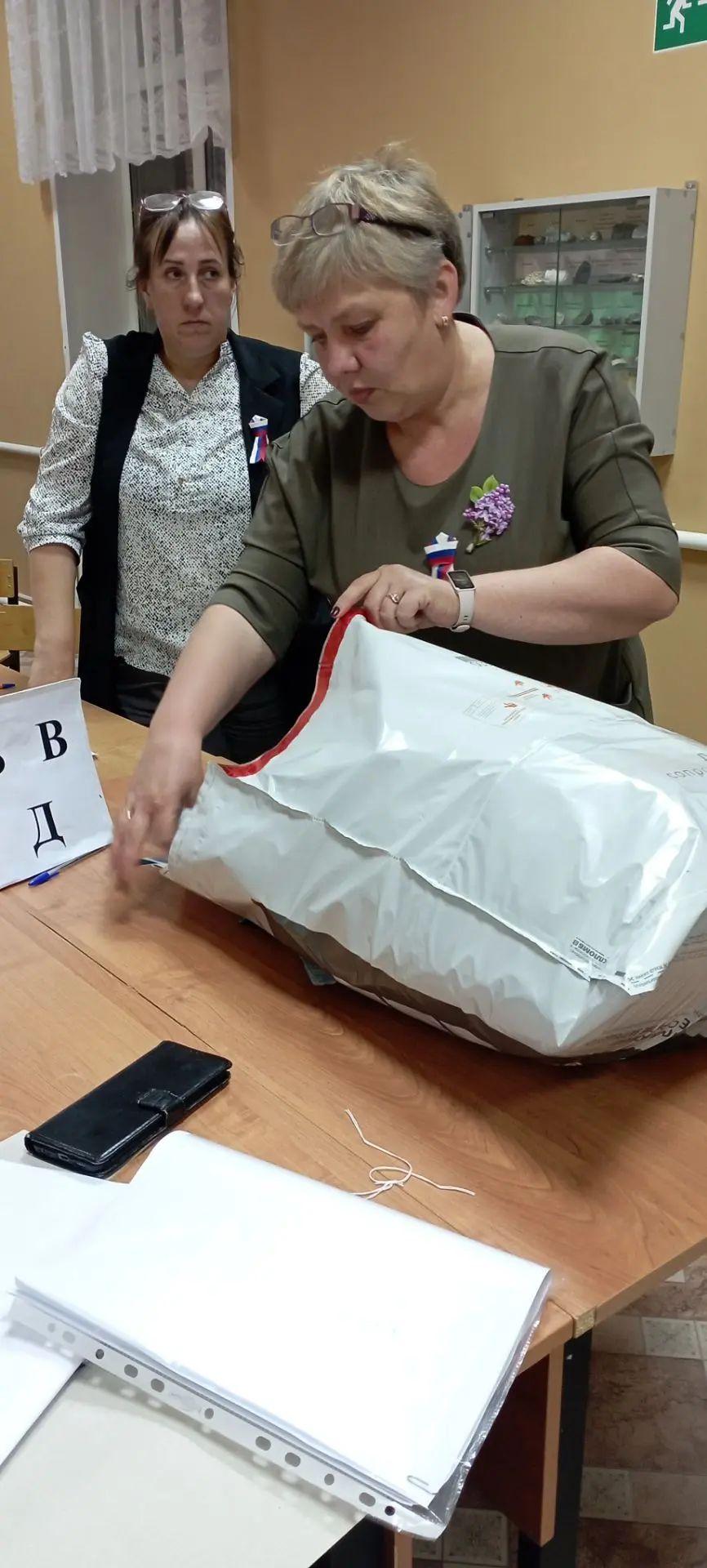 Сообщение — УИК №900, Архангельская область