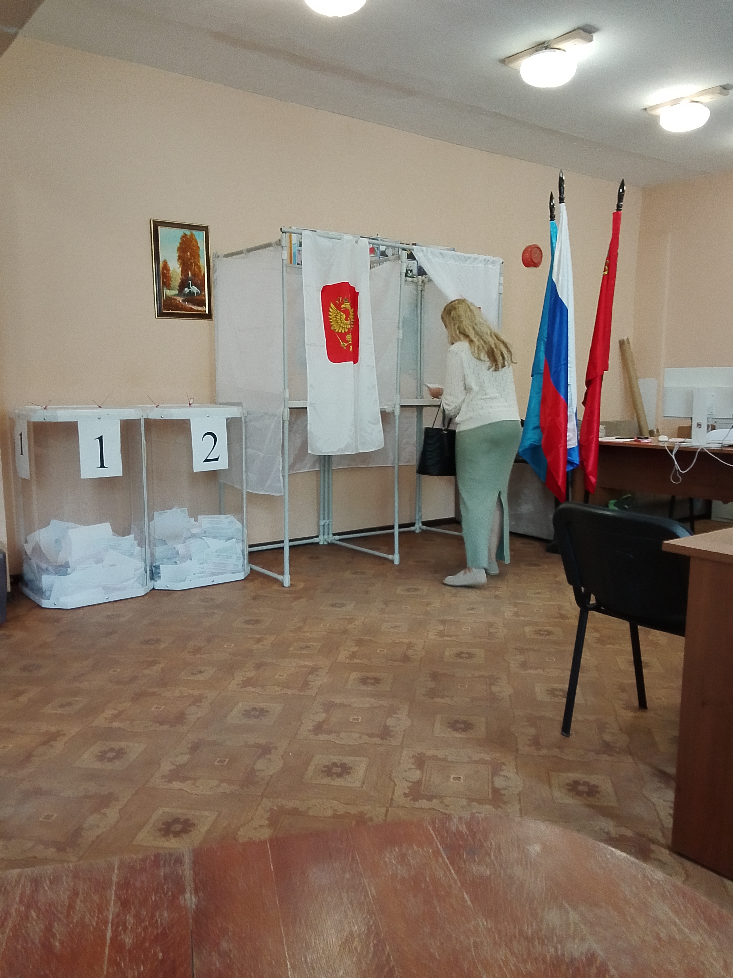 Сообщение — УИК №1029, Московская область