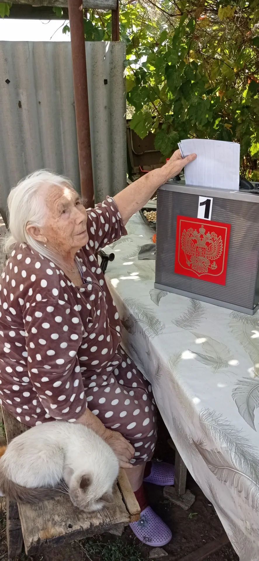 Сообщение — УИК №2820, Волгоградская область