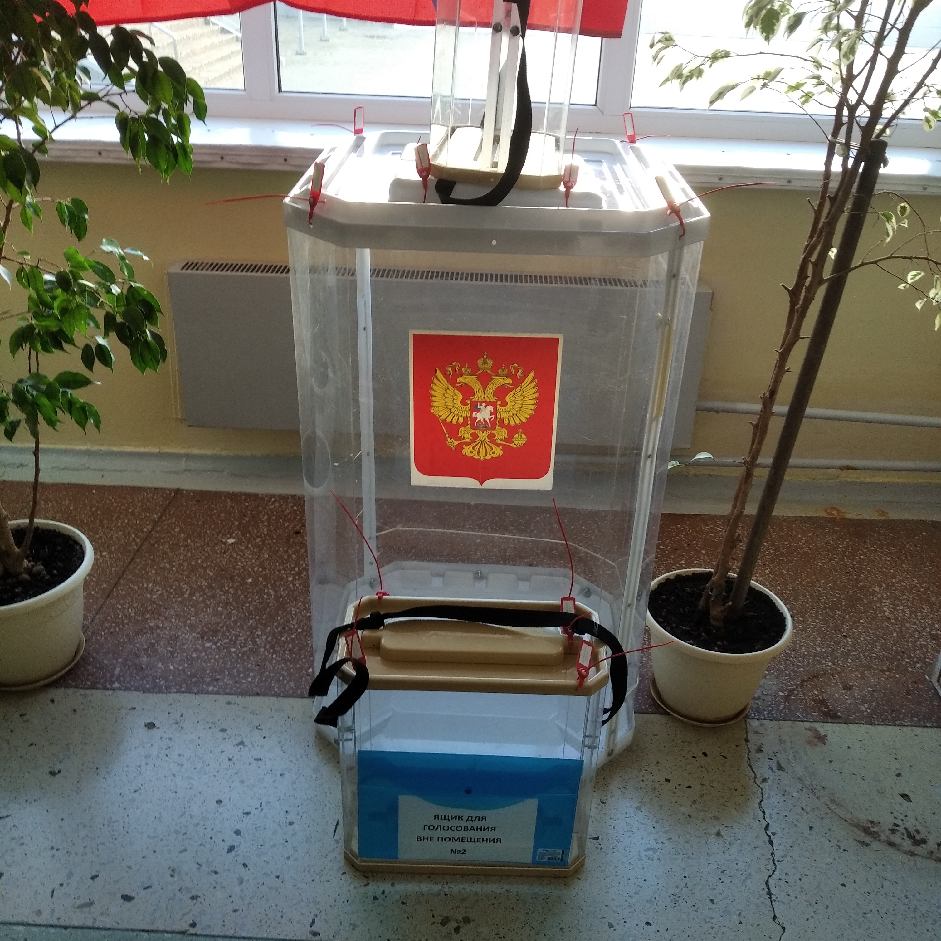 Сообщение наблюдателя — УИК №99, Белгородская область
