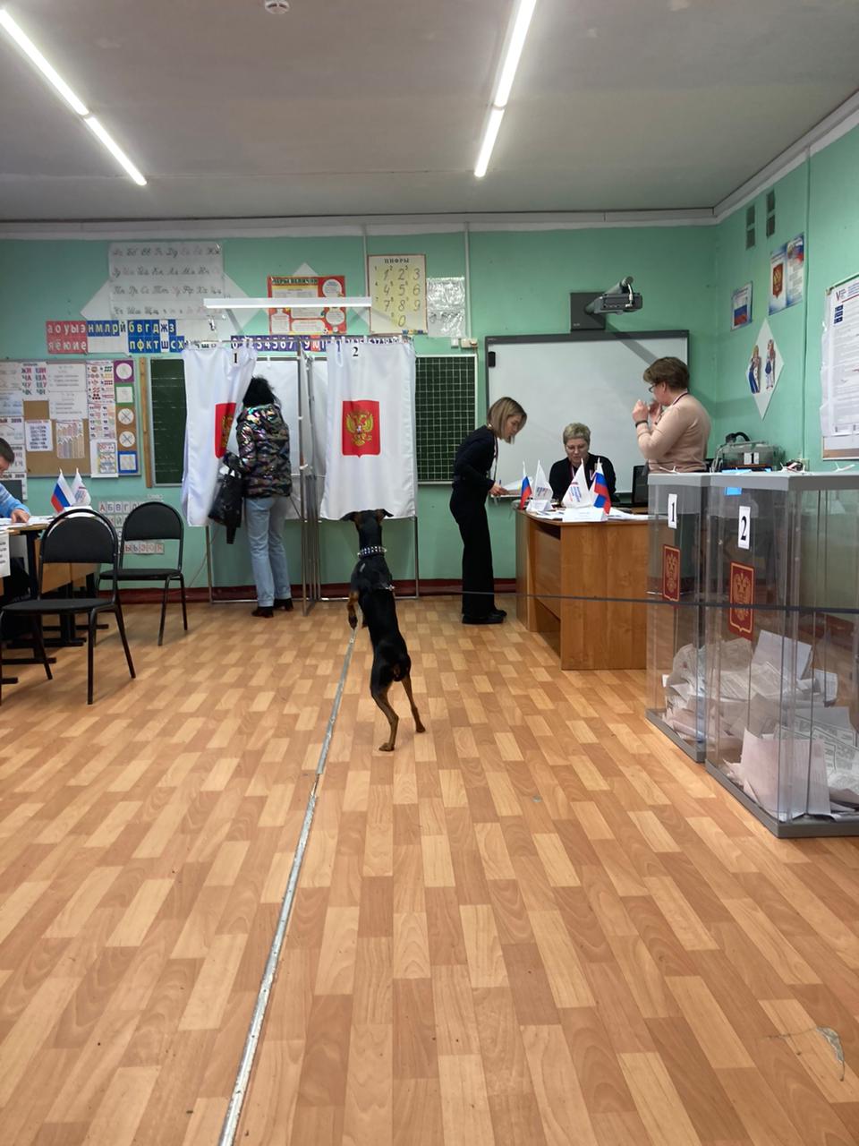 Сообщение наблюдателя — УИК №231, Республика Карелия