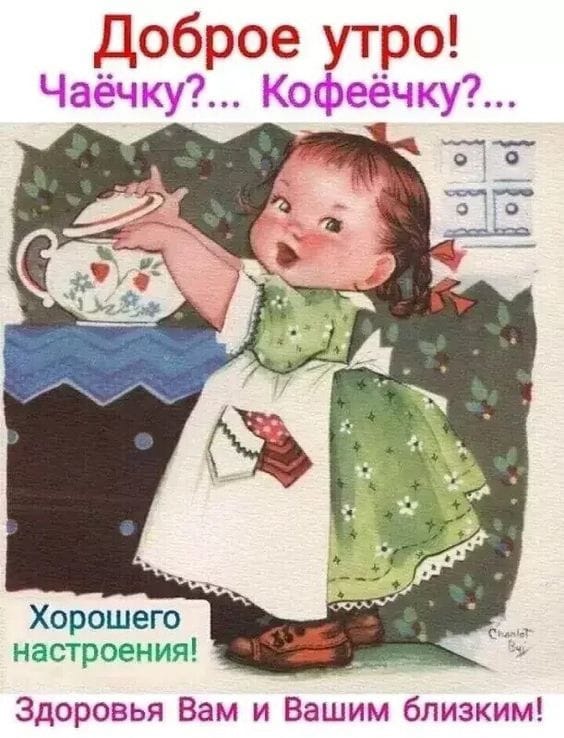 Сообщение наблюдателя — УИК №782, Ленинградская область