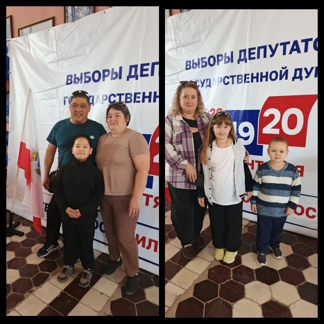 Сообщение — УИК №379, Саратовская область
