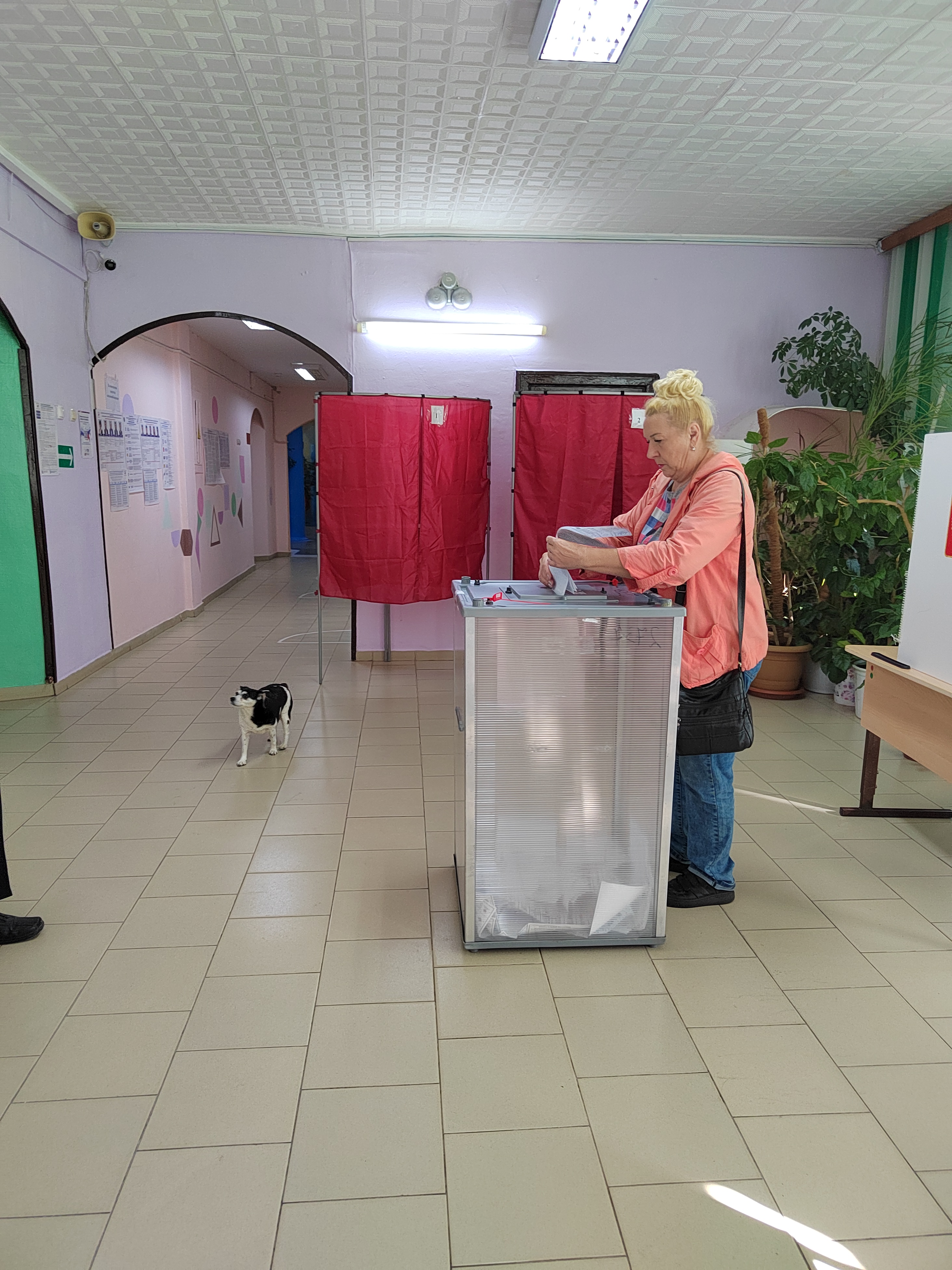 Сообщение — УИК №2737, Самарская область