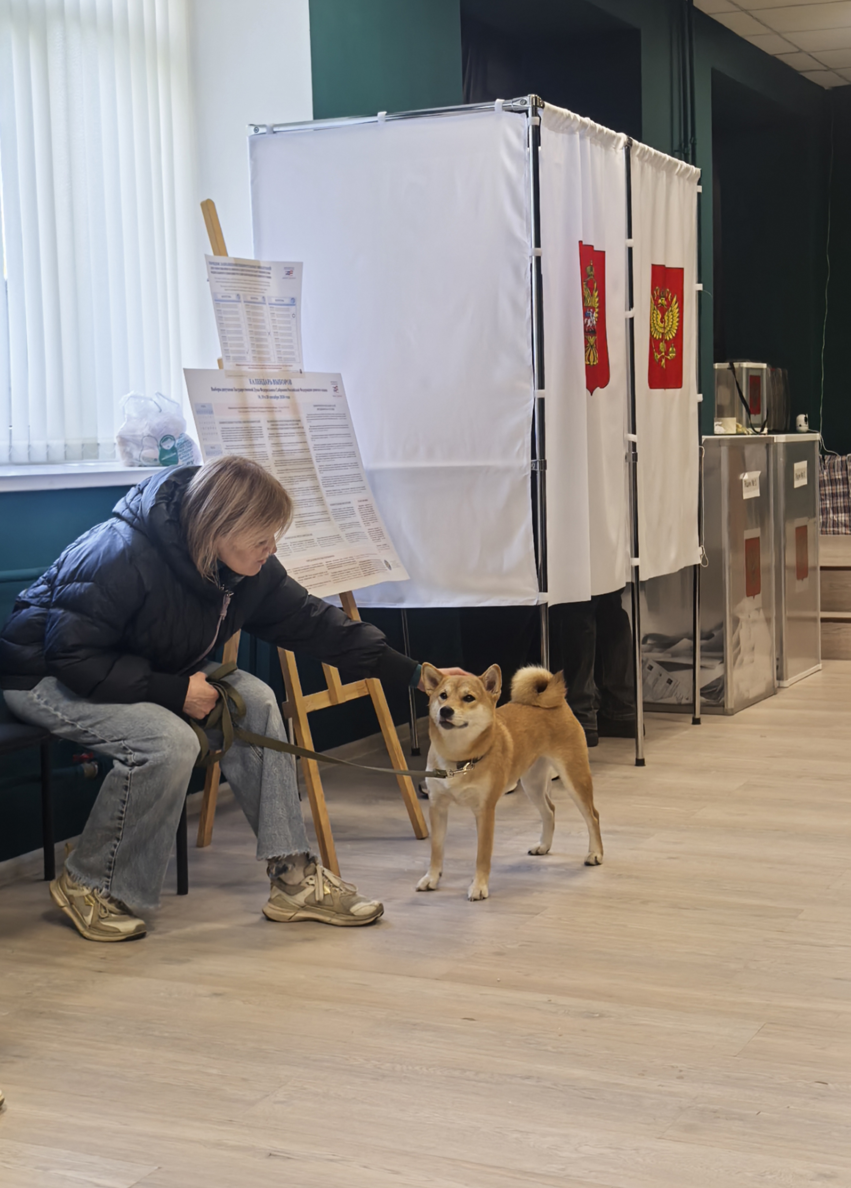 Сообщение — УИК №1469, Московская область