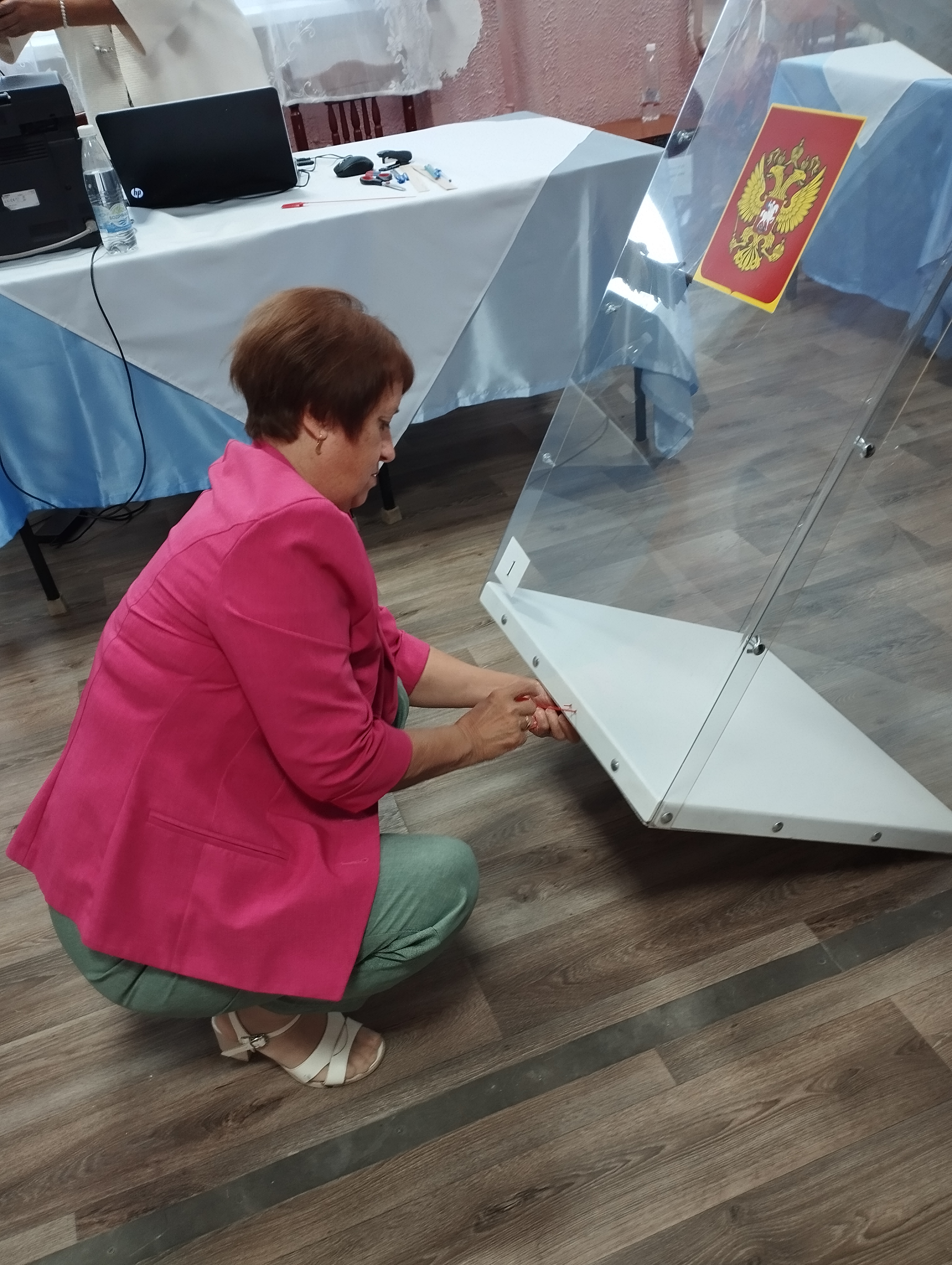 Сообщение — УИК №3459, Воронежская область