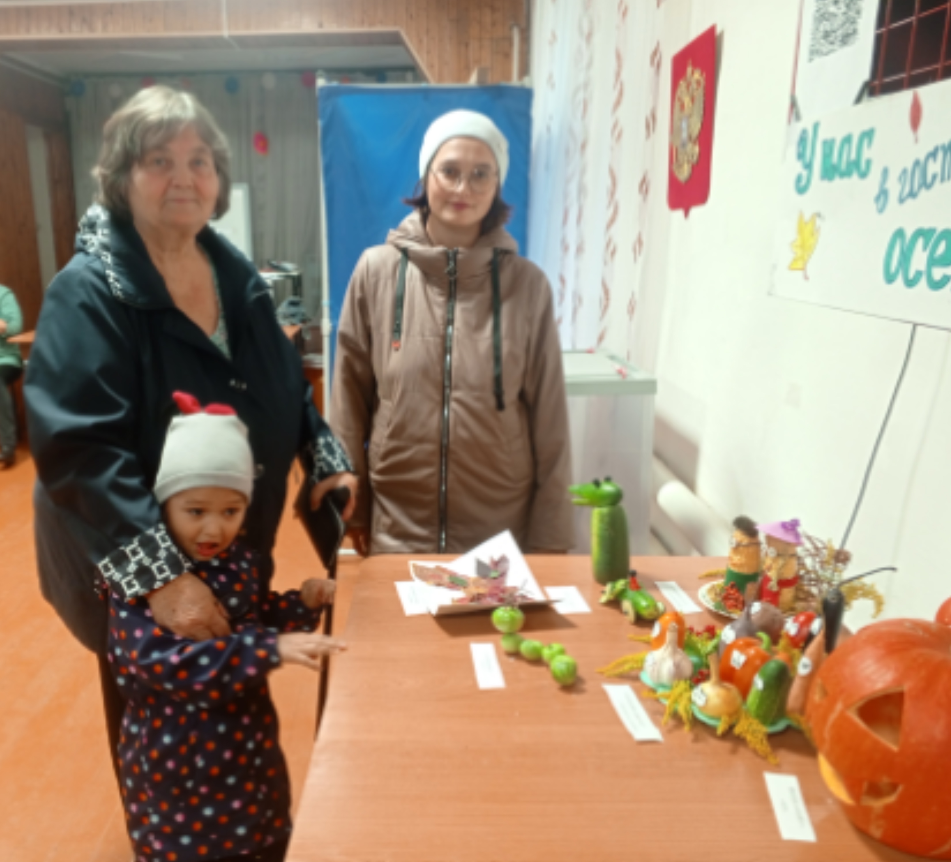 Сообщение — УИК №732, Новосибирская область