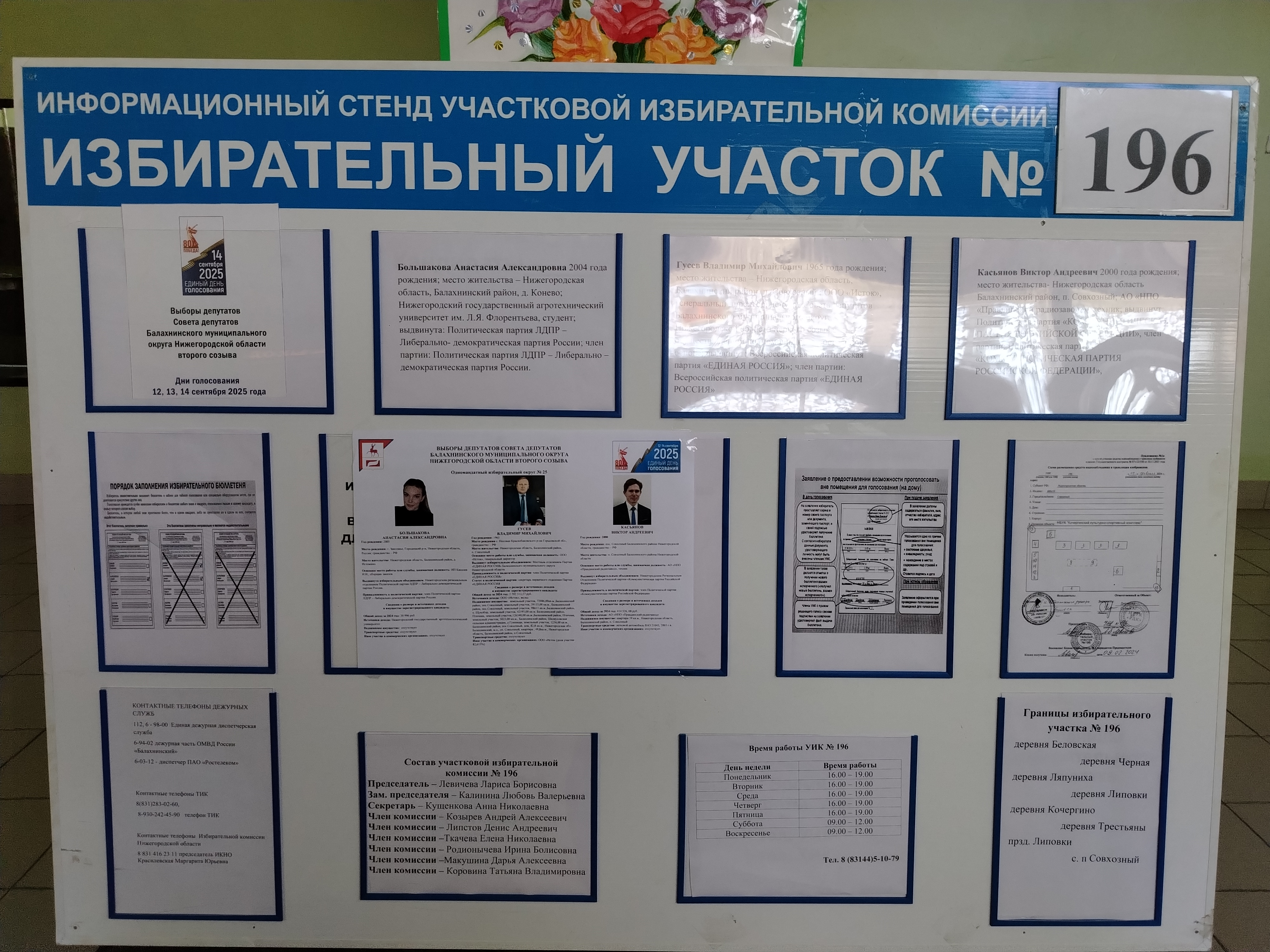 Сообщение наблюдателя — УИК №196, Нижегородская область