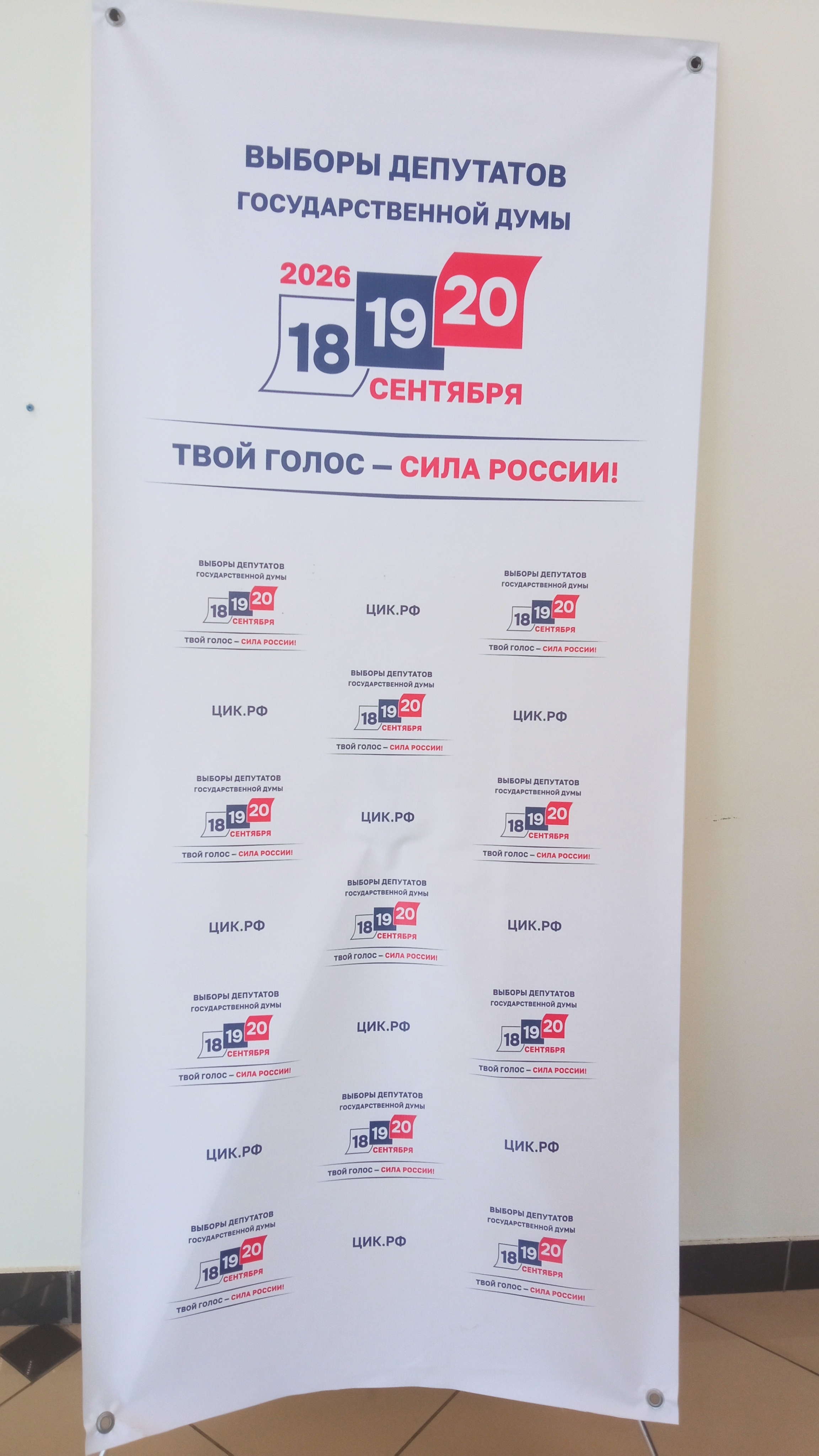 Сообщение — УИК №889, Тамбовская область
