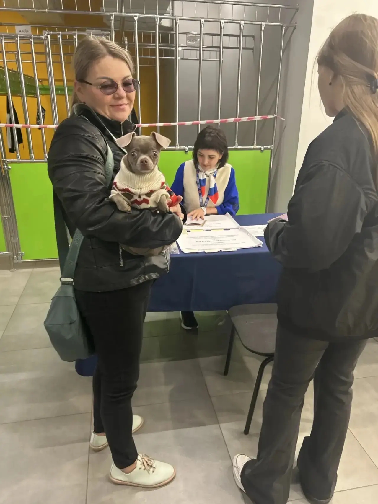 Сообщение — УИК №1263, Московская область
