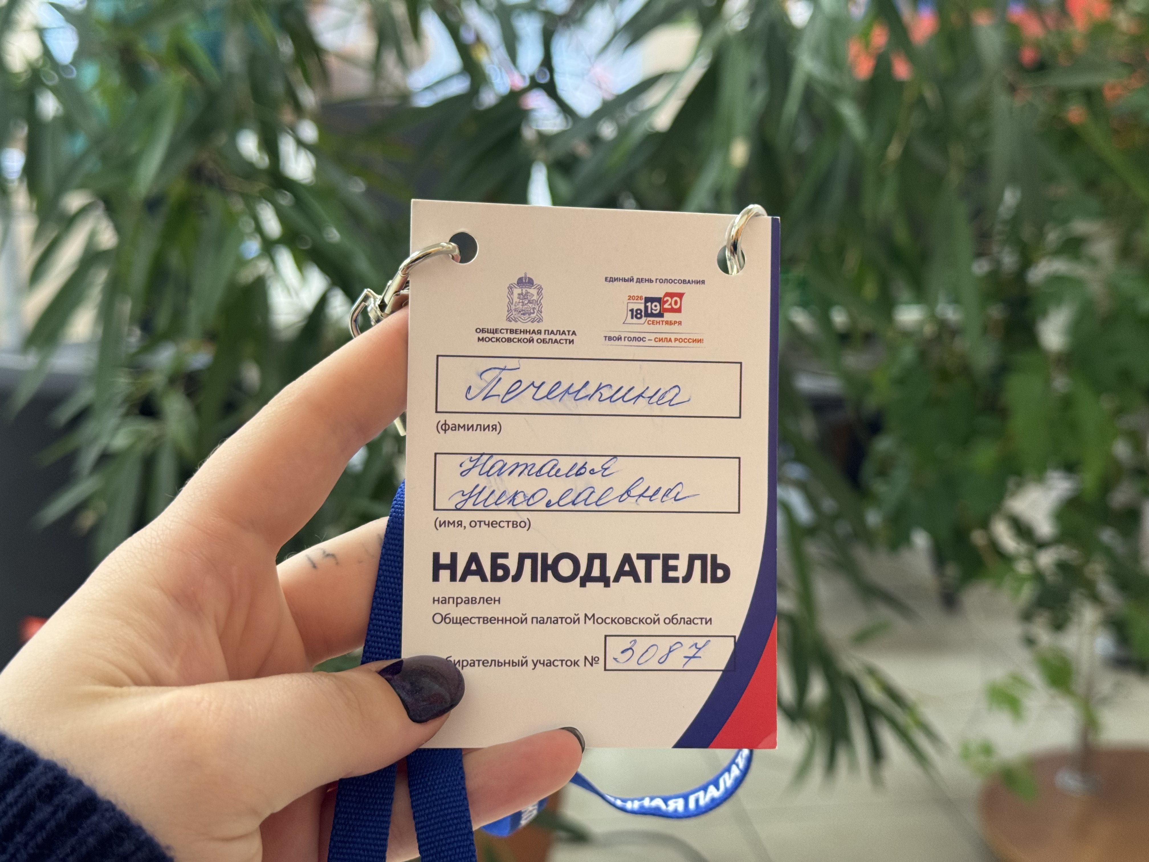 Сообщение — УИК №3087, Московская область