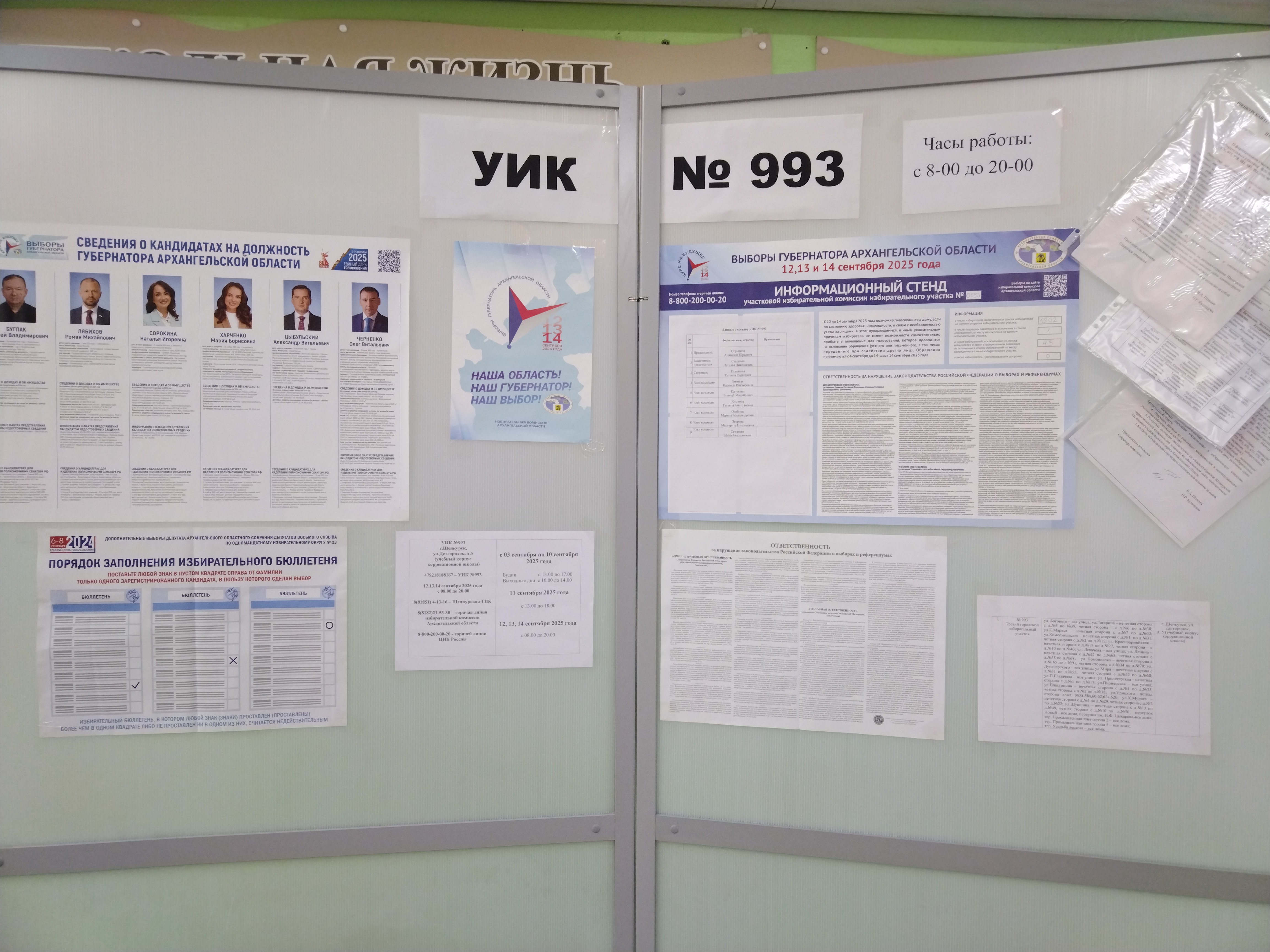 Сообщение наблюдателя — УИК №993, Архангельская область