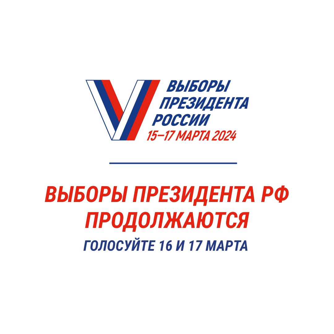 Сообщение наблюдателя — УИК №334, Архангельская область