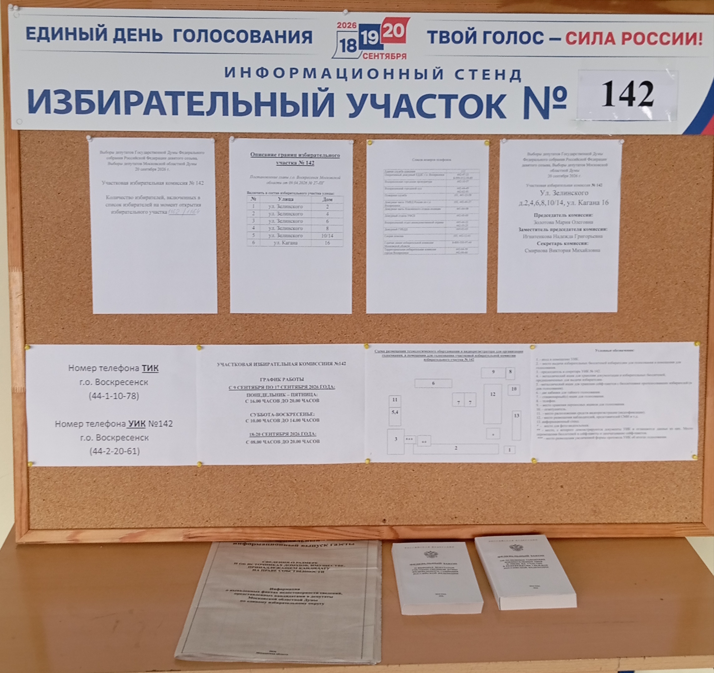 Сообщение — УИК №142, Московская область