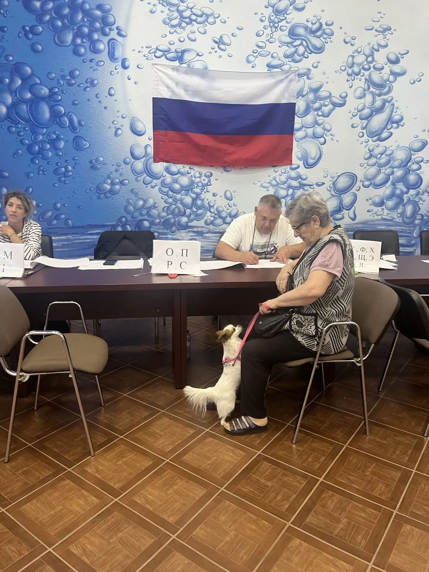 Сообщение — УИК №1004, Волгоградская область