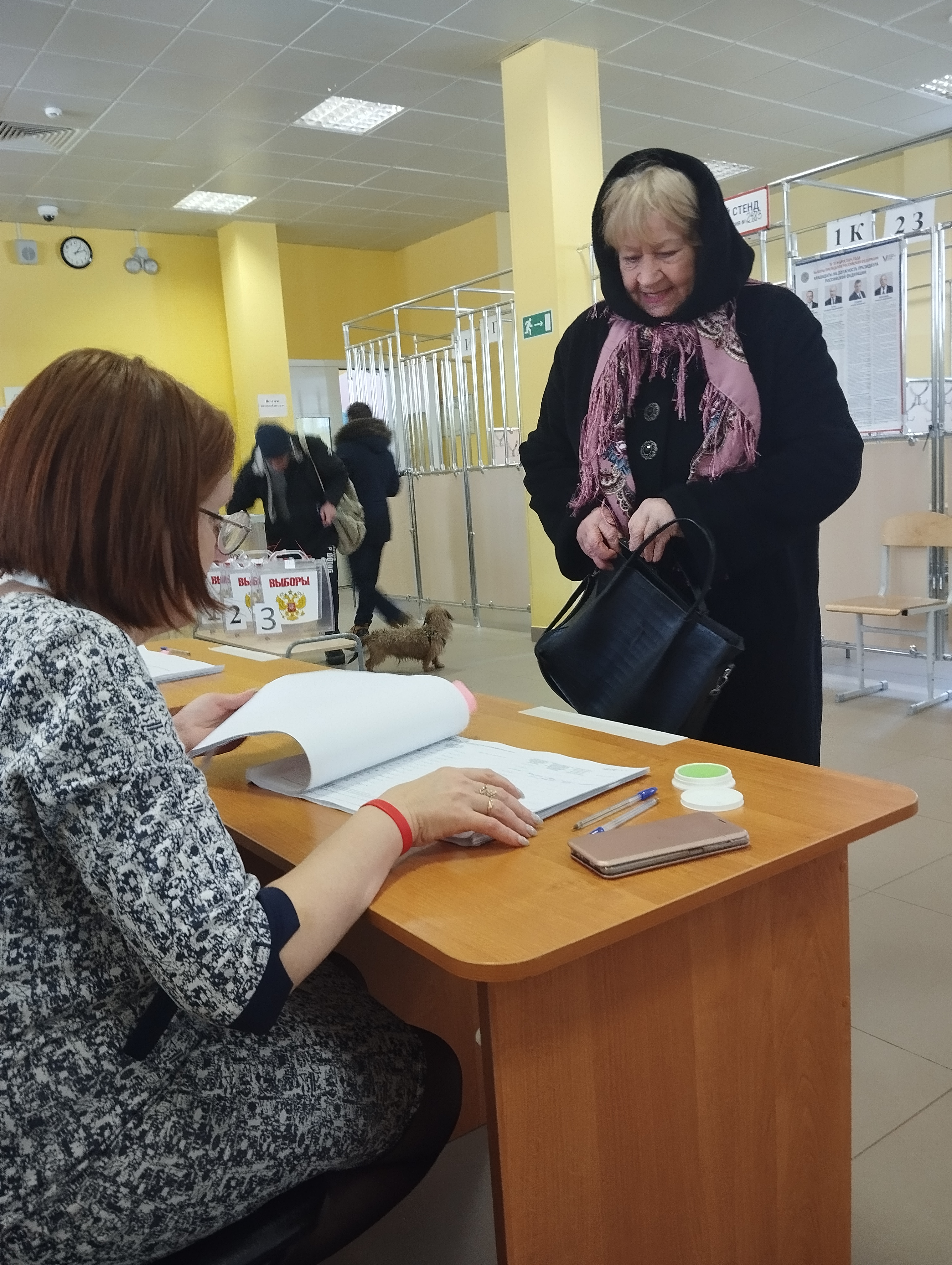 Сообщение наблюдателя — УИК №2483, Московская область