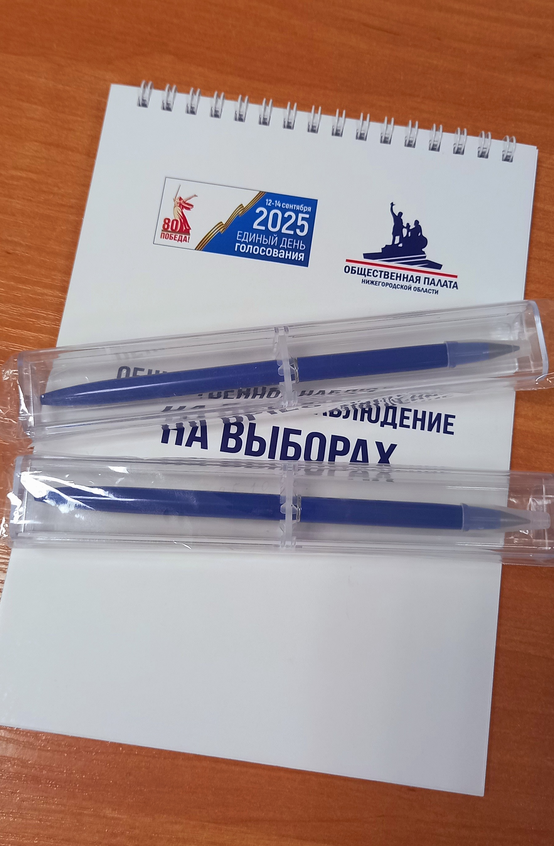 Сообщение наблюдателя — УИК №1172, Нижегородская область