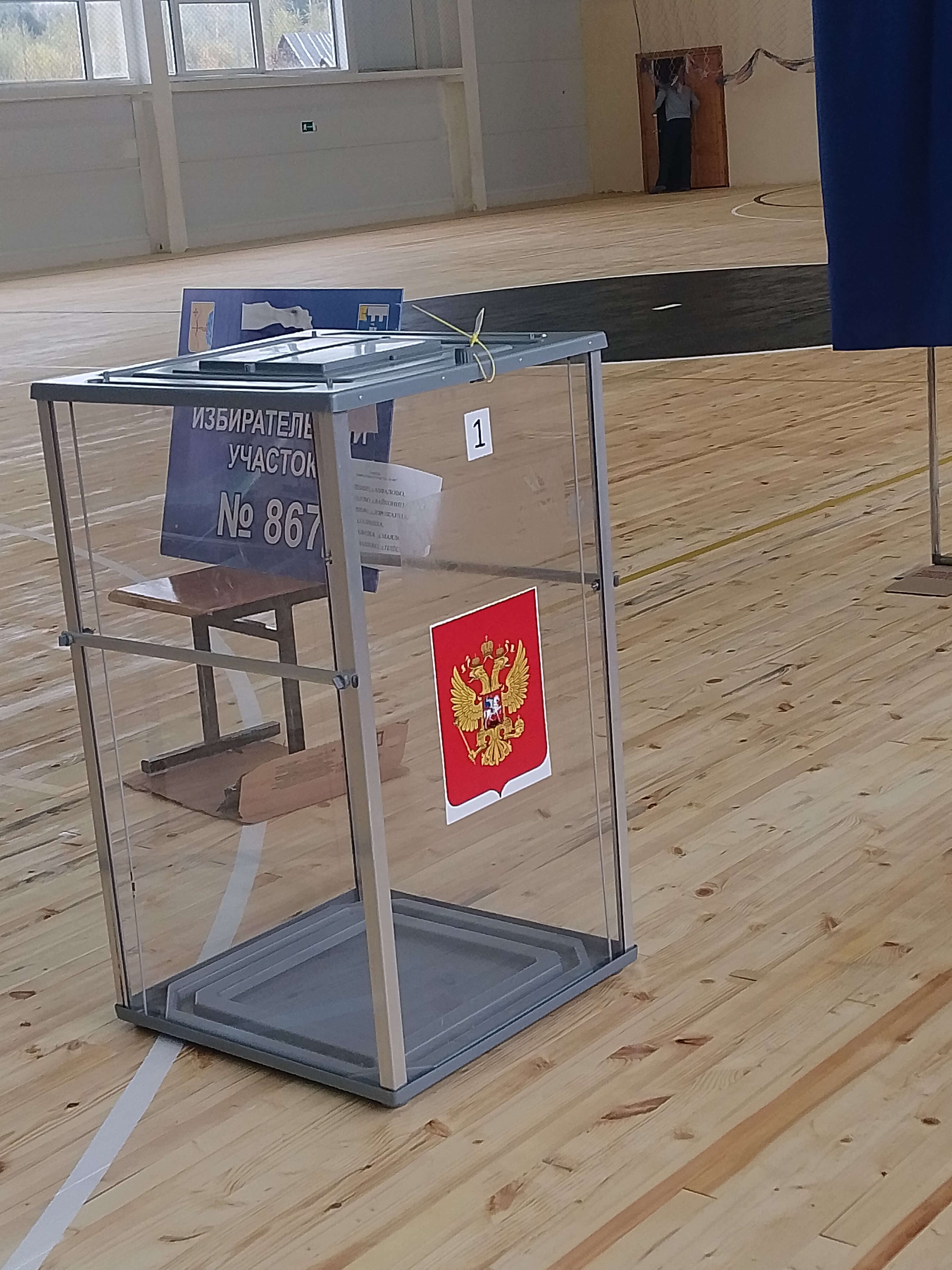 Сообщение — УИК №867, Кировская область
