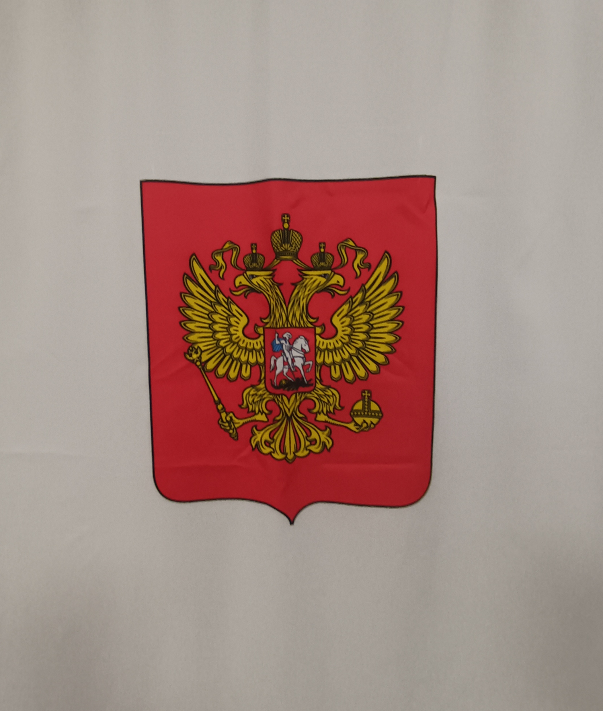 Сообщение — УИК №3247, Московская область