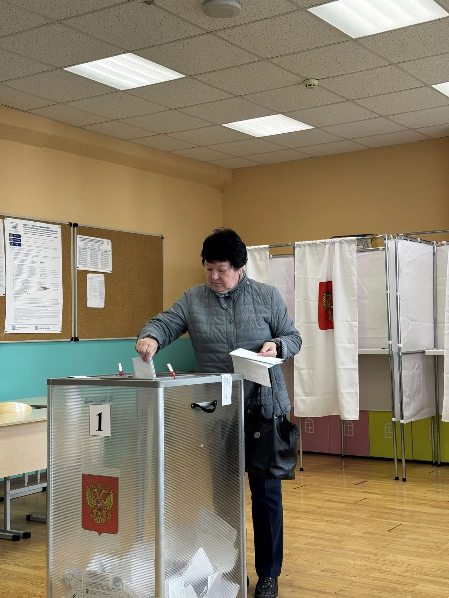 Сообщение — УИК №3852, Московская область