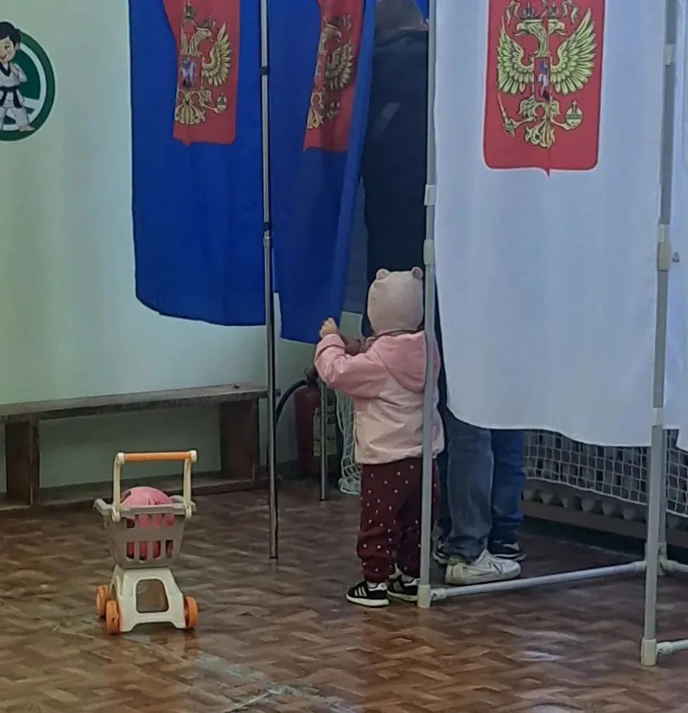 Сообщение — УИК №866, Ленинградская область