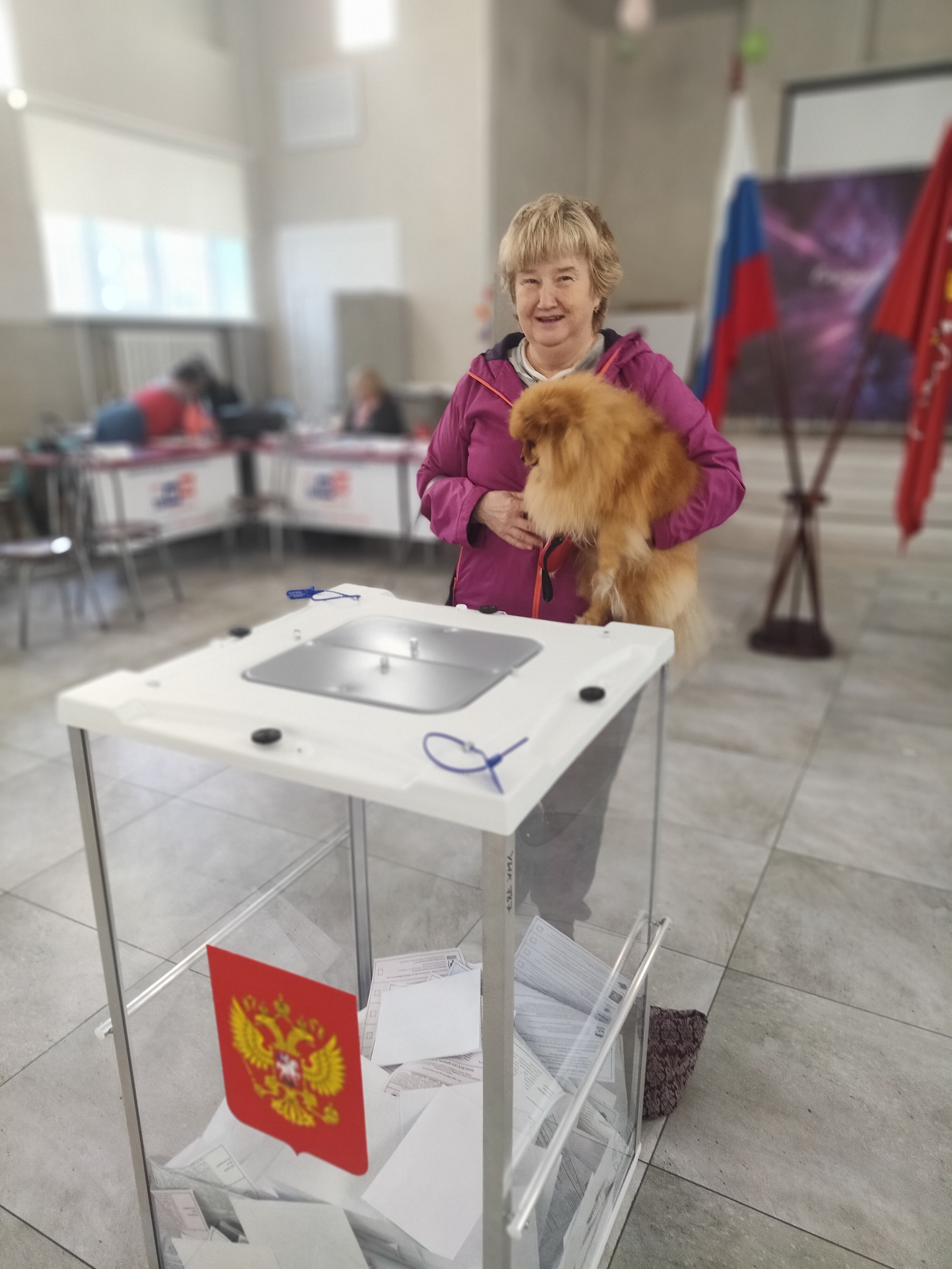 Сообщение — УИК №787, Санкт-Петербург