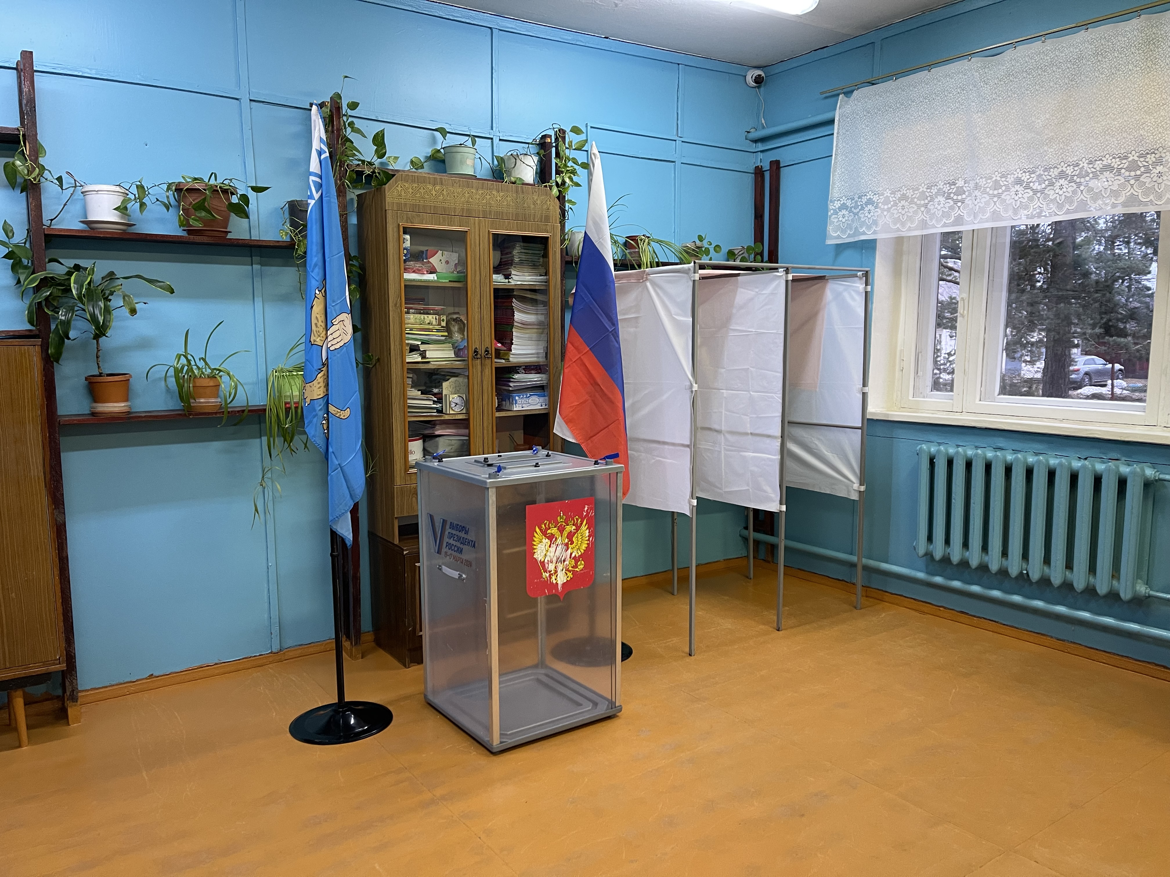 Сообщение наблюдателя — УИК №173, Псковская область
