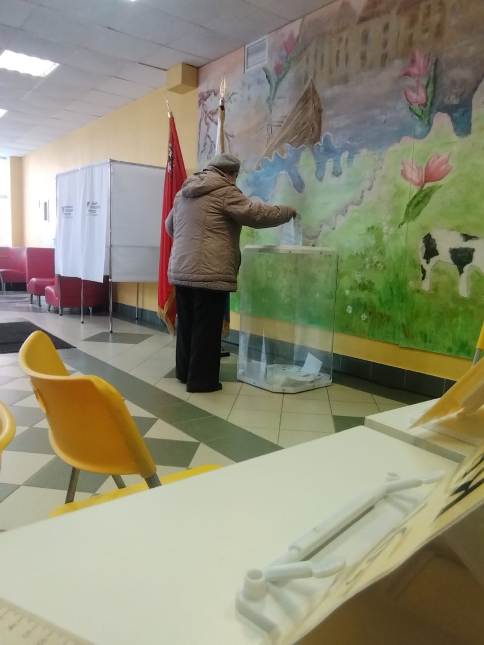 Сообщение наблюдателя — УИК №256, Московская область