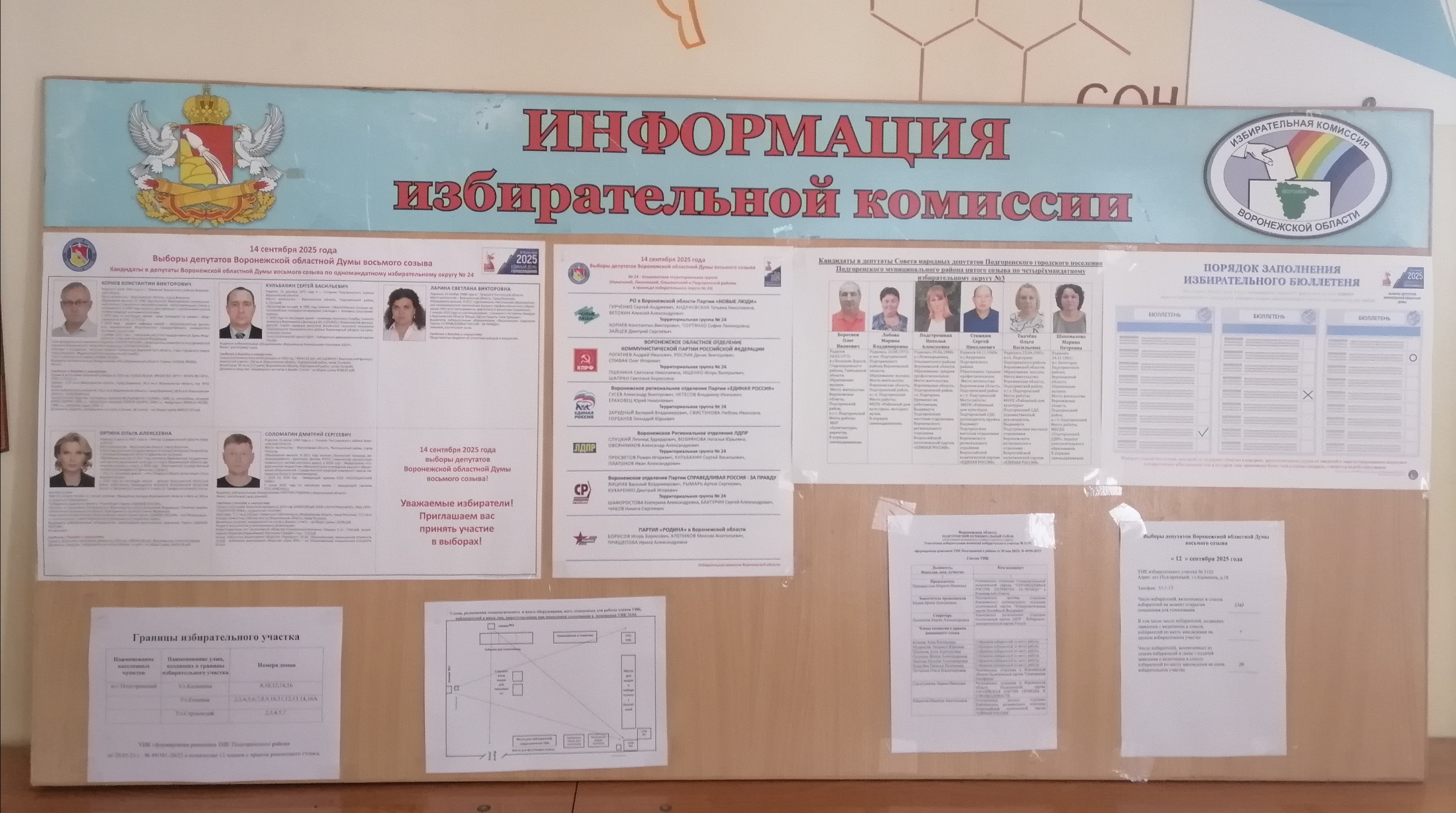 Сообщение наблюдателя — УИК №3102, Воронежская область