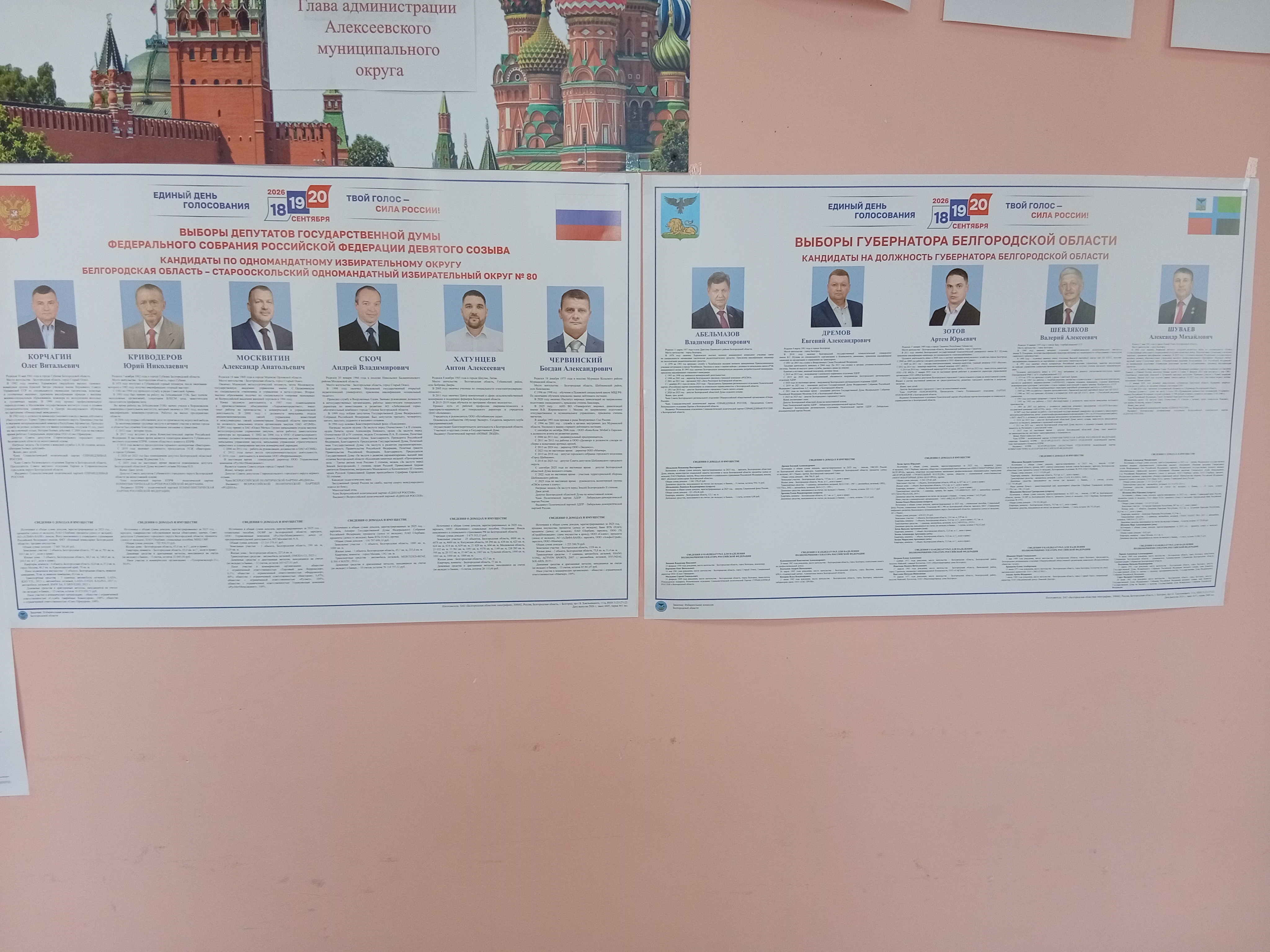 Сообщение — УИК №19, Белгородская область