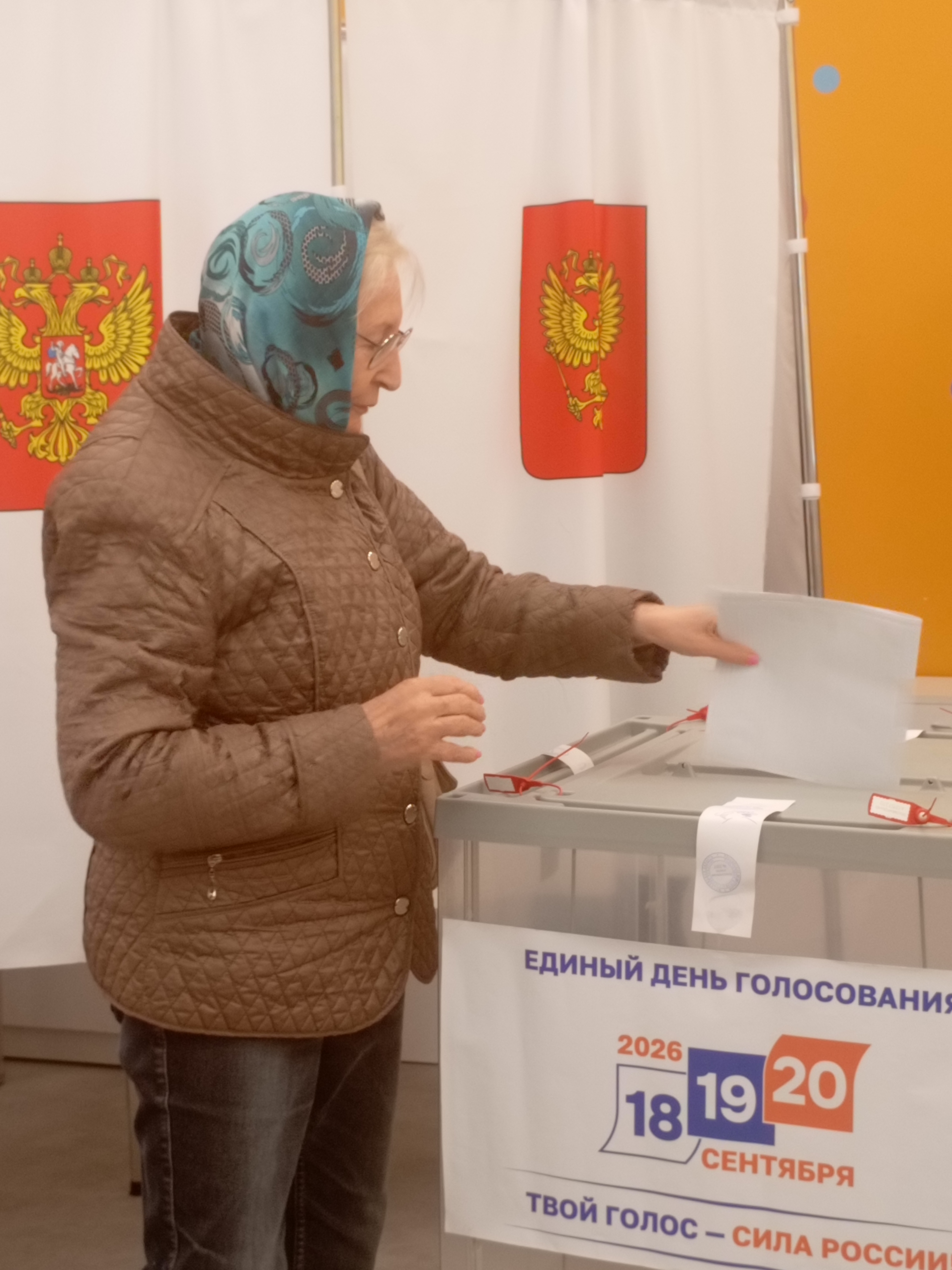 Сообщение — УИК №2317, Московская область